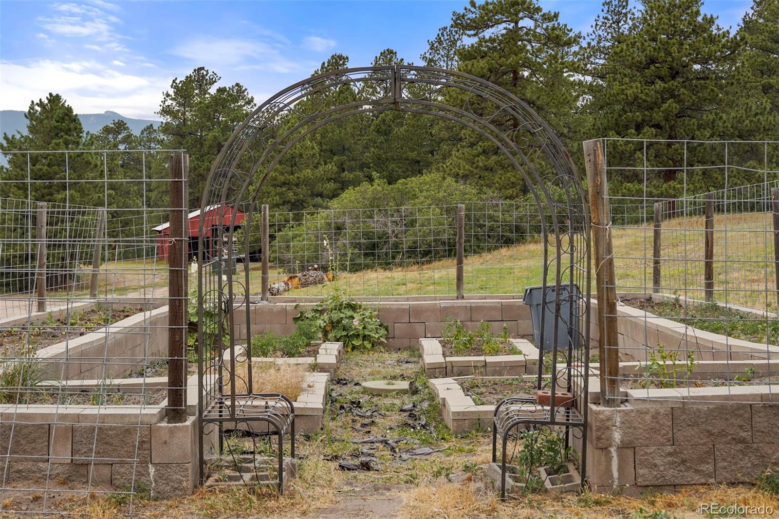 MLS Image #36 for 9610 s perry park road,larkspur, Colorado
