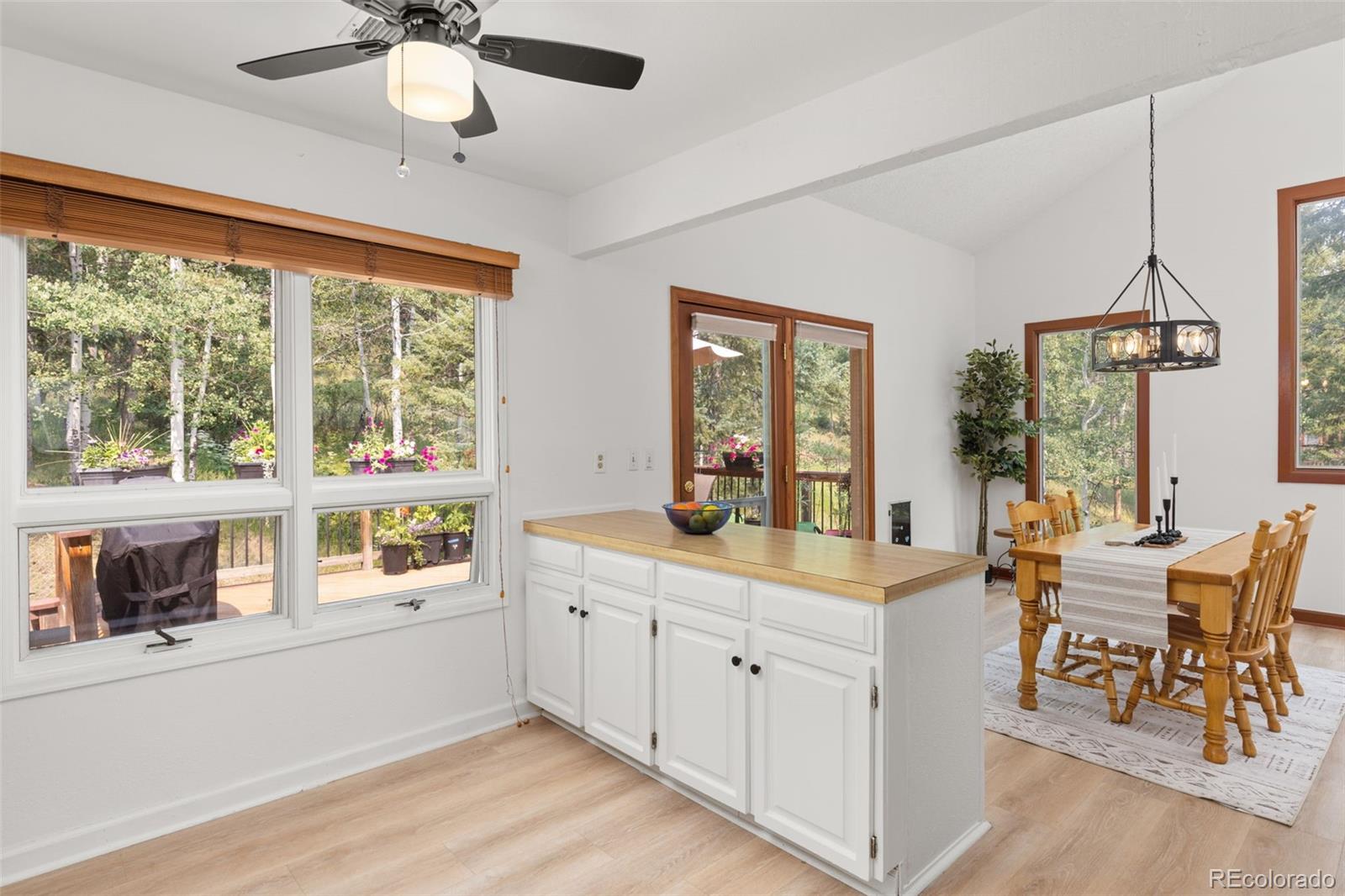 MLS Image #16 for 31547  niakwa road,evergreen, Colorado
