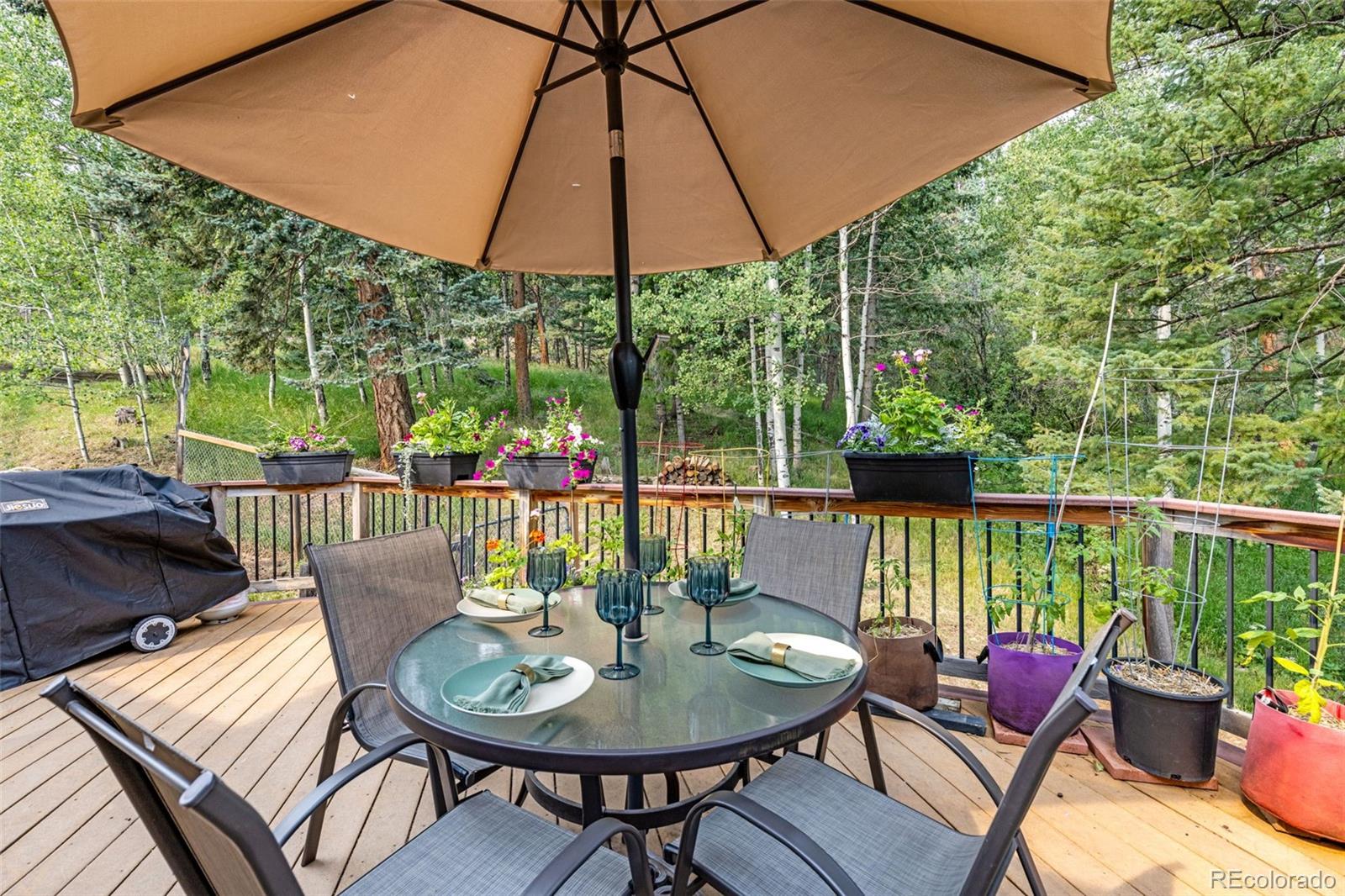 MLS Image #33 for 31547  niakwa road,evergreen, Colorado