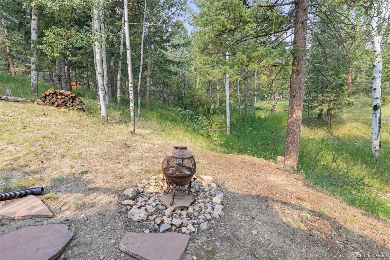 MLS Image #38 for 31547  niakwa road,evergreen, Colorado