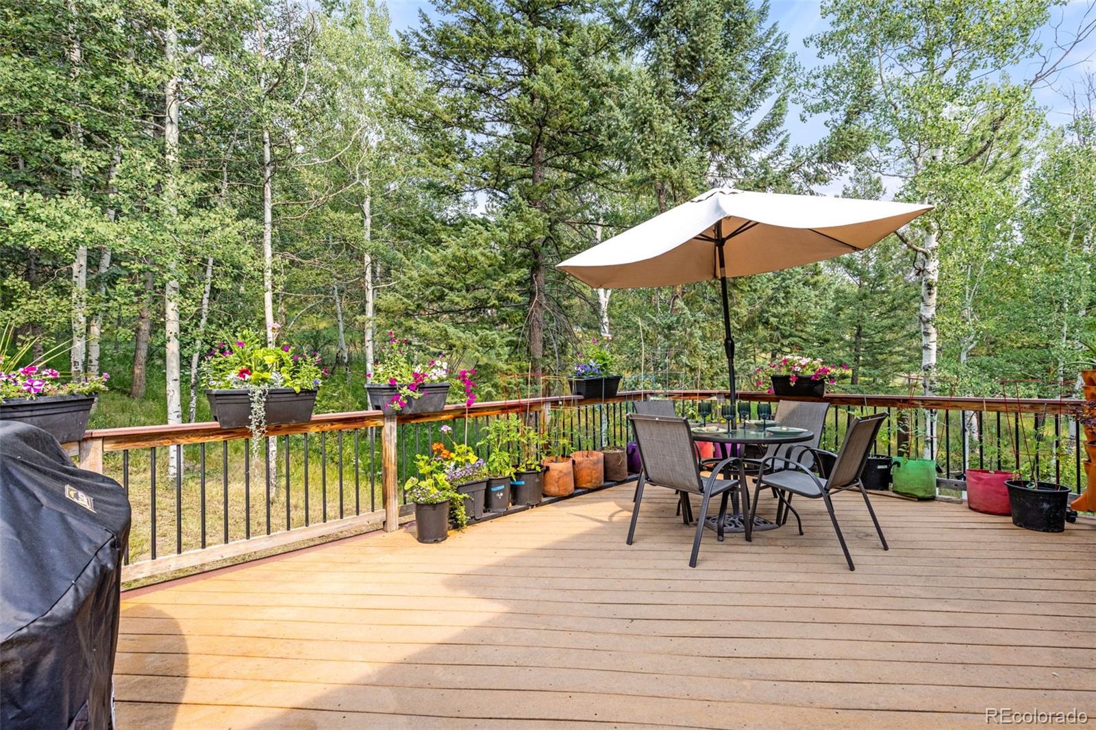 MLS Image #5 for 31547  niakwa road,evergreen, Colorado