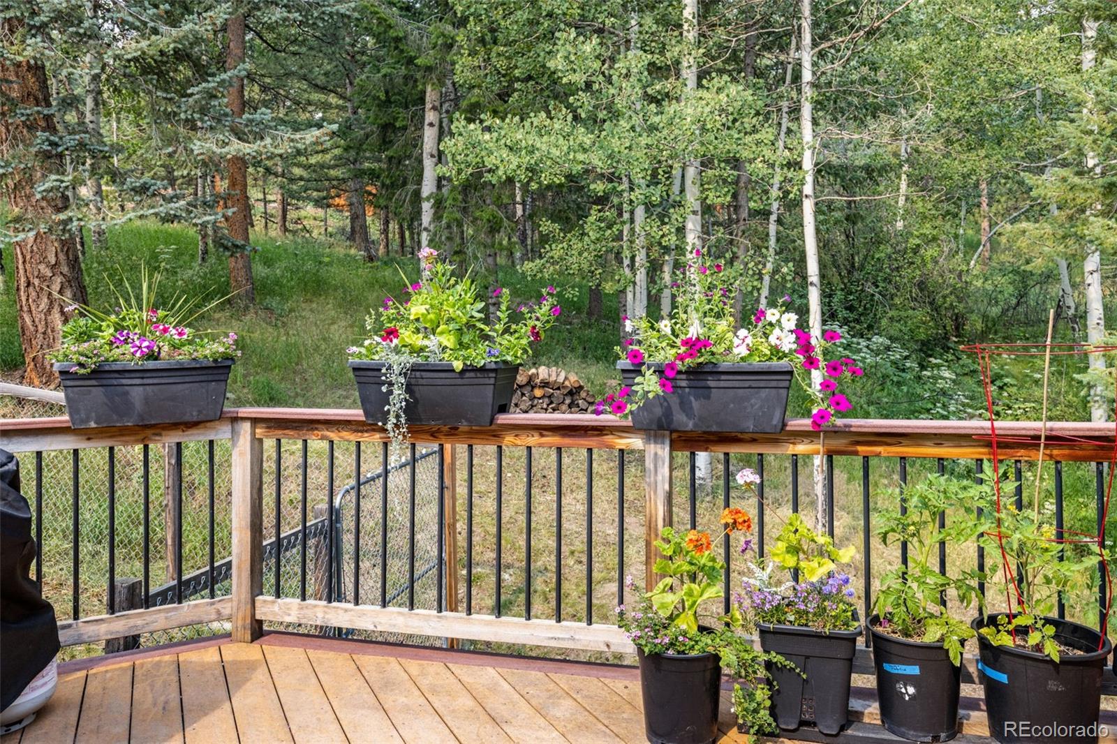 MLS Image #6 for 31547  niakwa road,evergreen, Colorado
