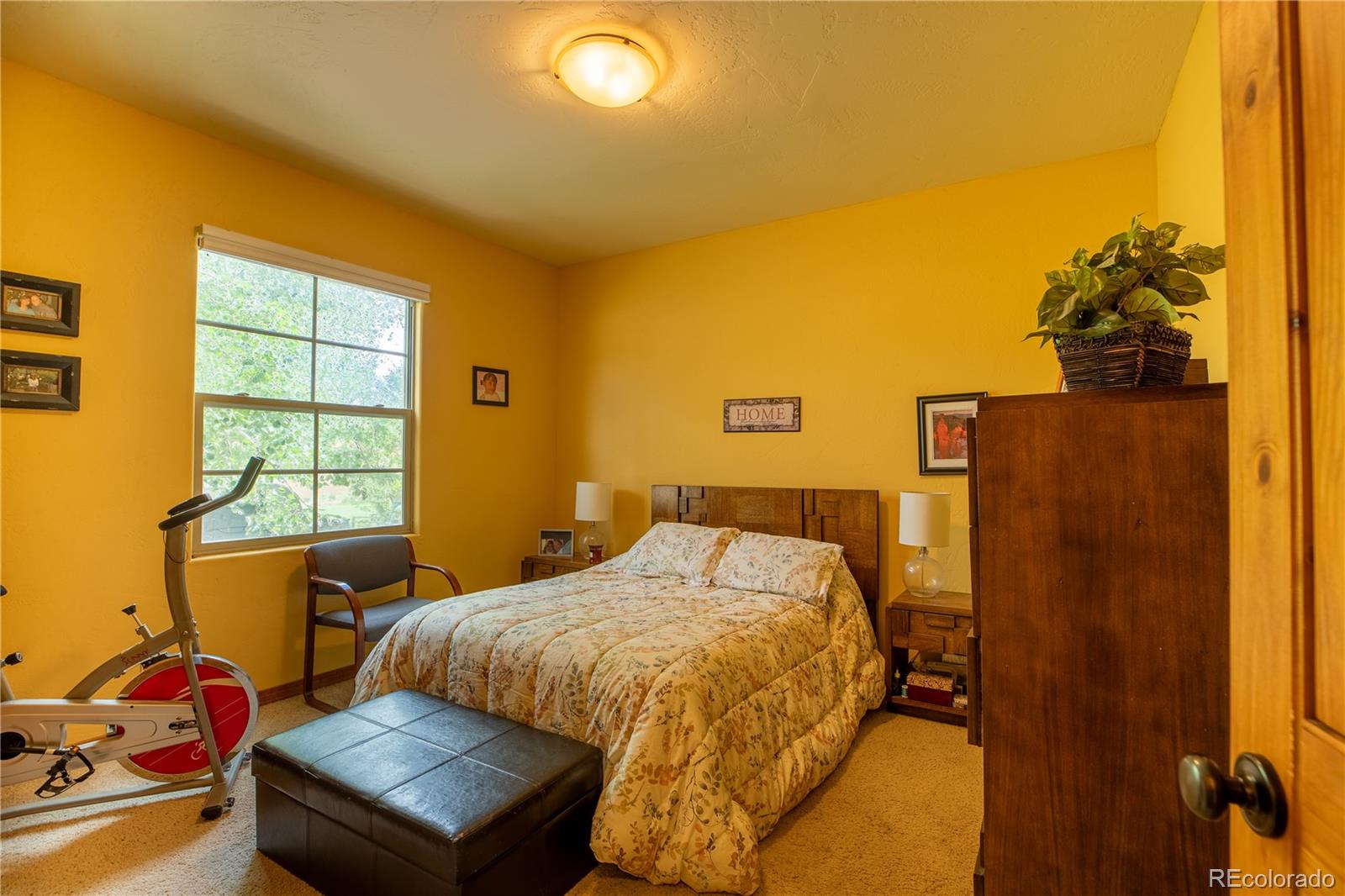 MLS Image #19 for 33729  county road 361 ,buena vista, Colorado