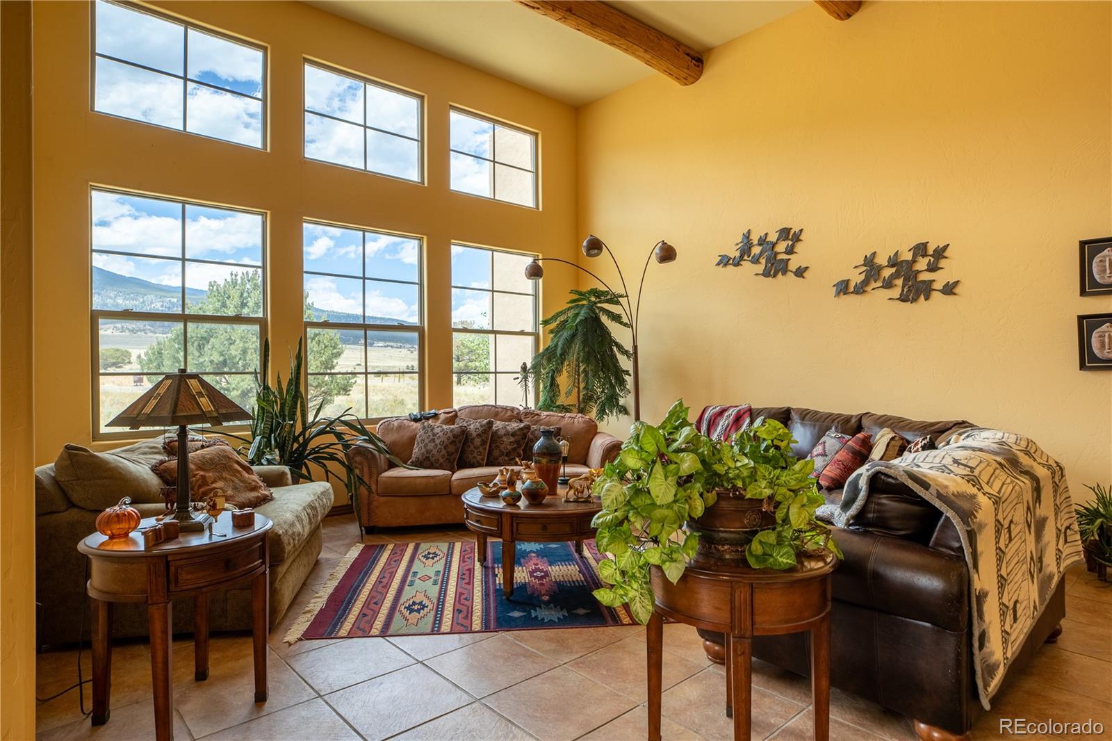 MLS Image #4 for 33729  county road 361 ,buena vista, Colorado