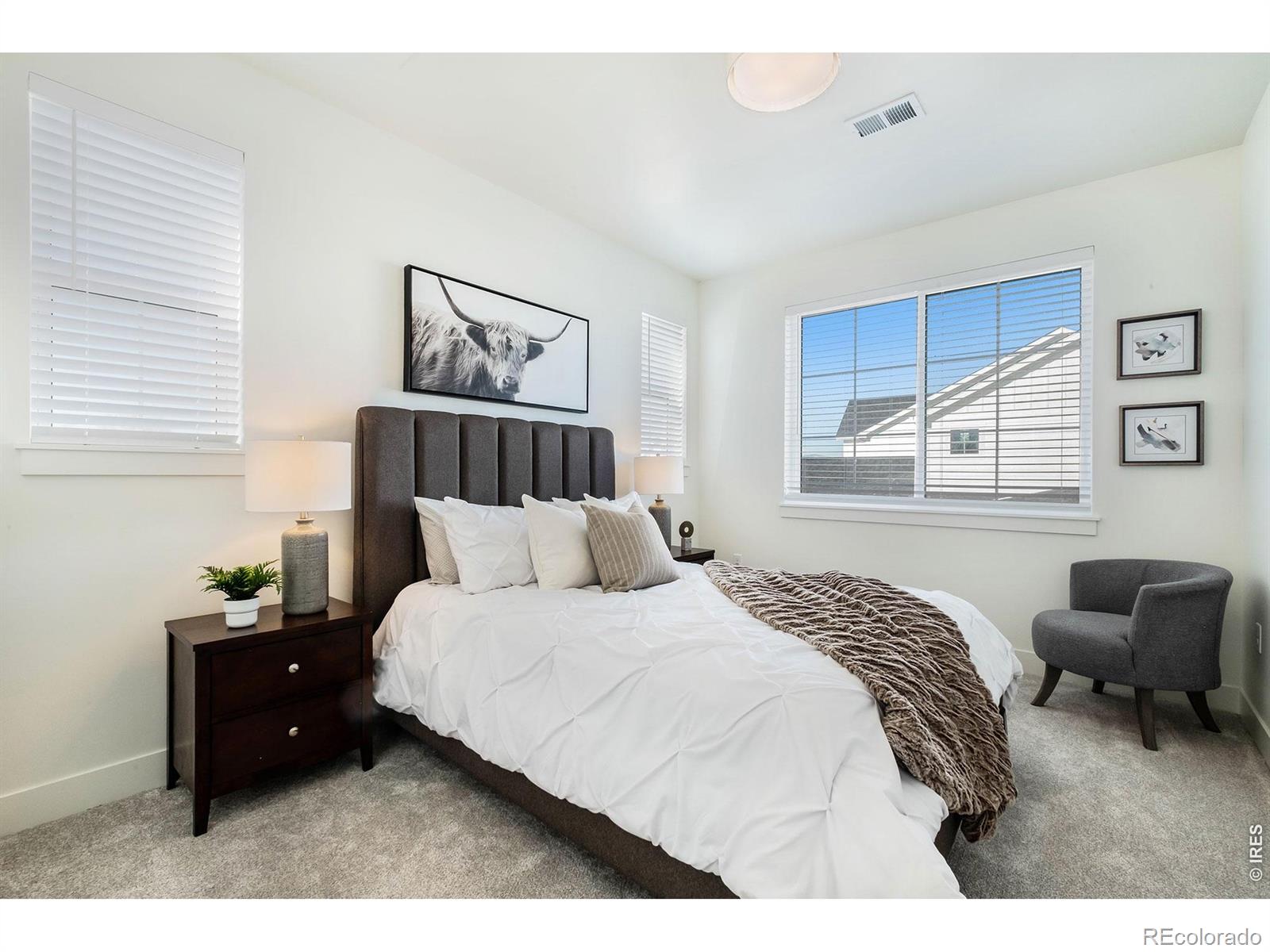 MLS Image #14 for 5148  stonewall street,loveland, Colorado