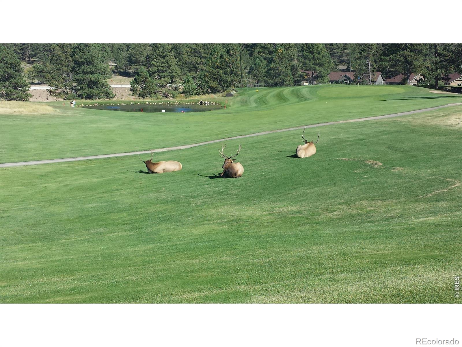 MLS Image #23 for 1250 s saint vrain avenue,estes park, Colorado
