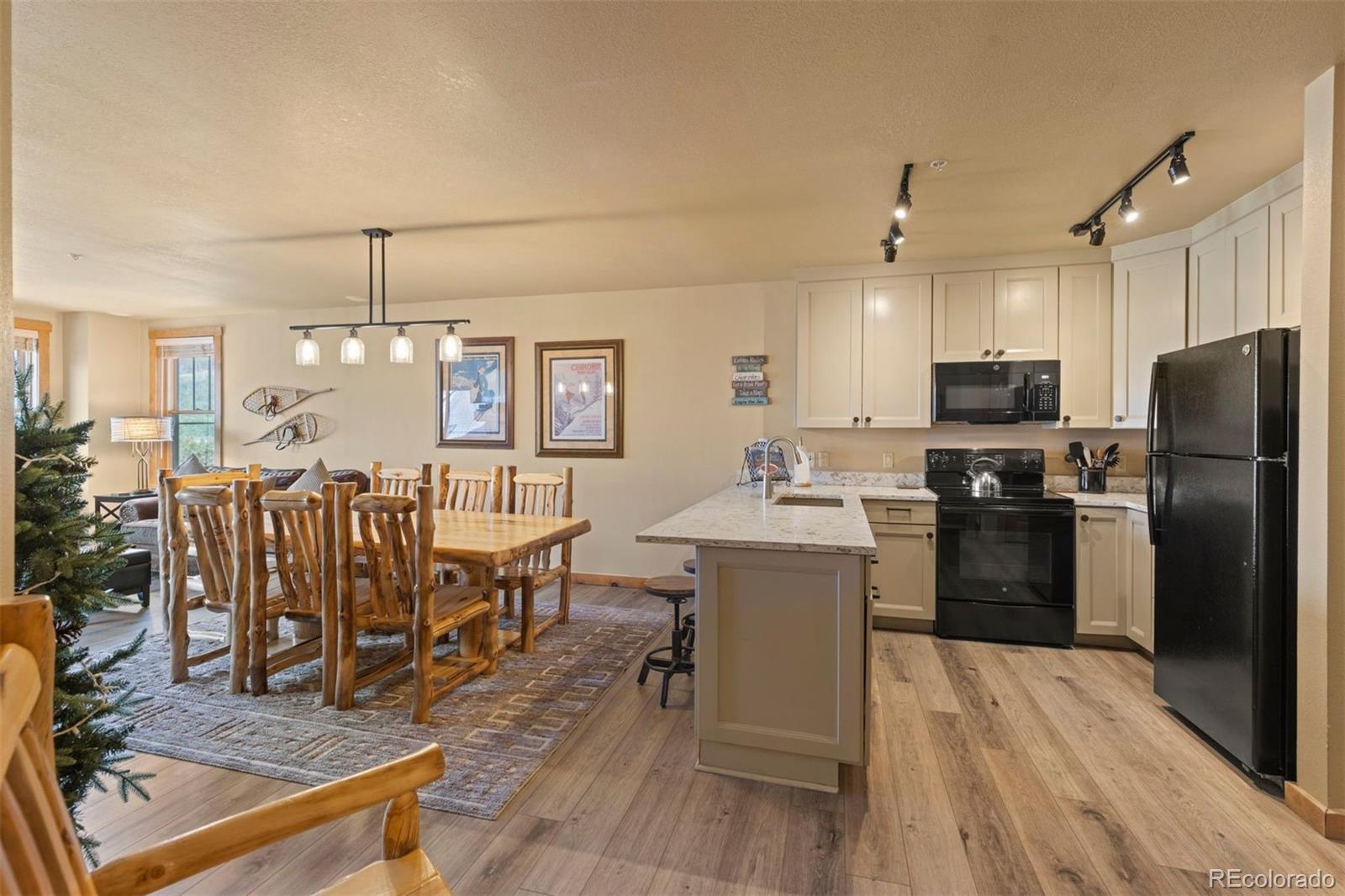 MLS Image #3 for 100  dercum square,keystone, Colorado