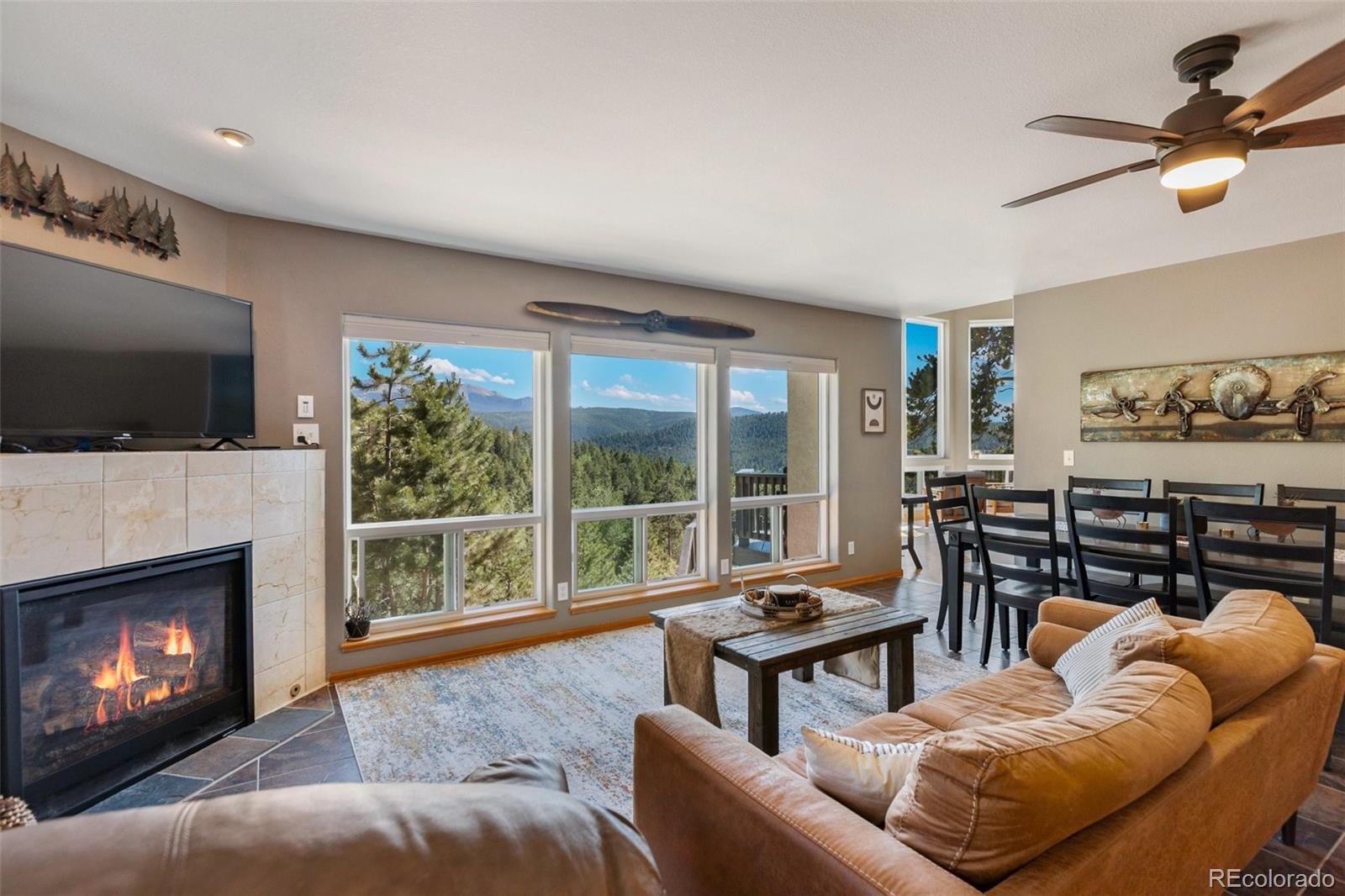 MLS Image #13 for 1240  ponderosa way,woodland park, Colorado