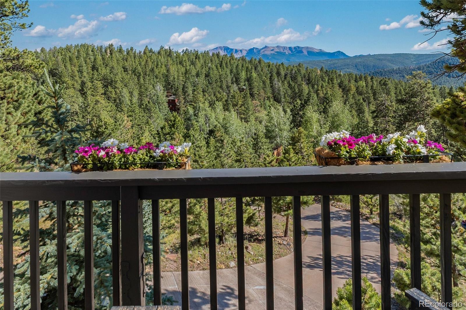 MLS Image #27 for 1240  ponderosa way,woodland park, Colorado