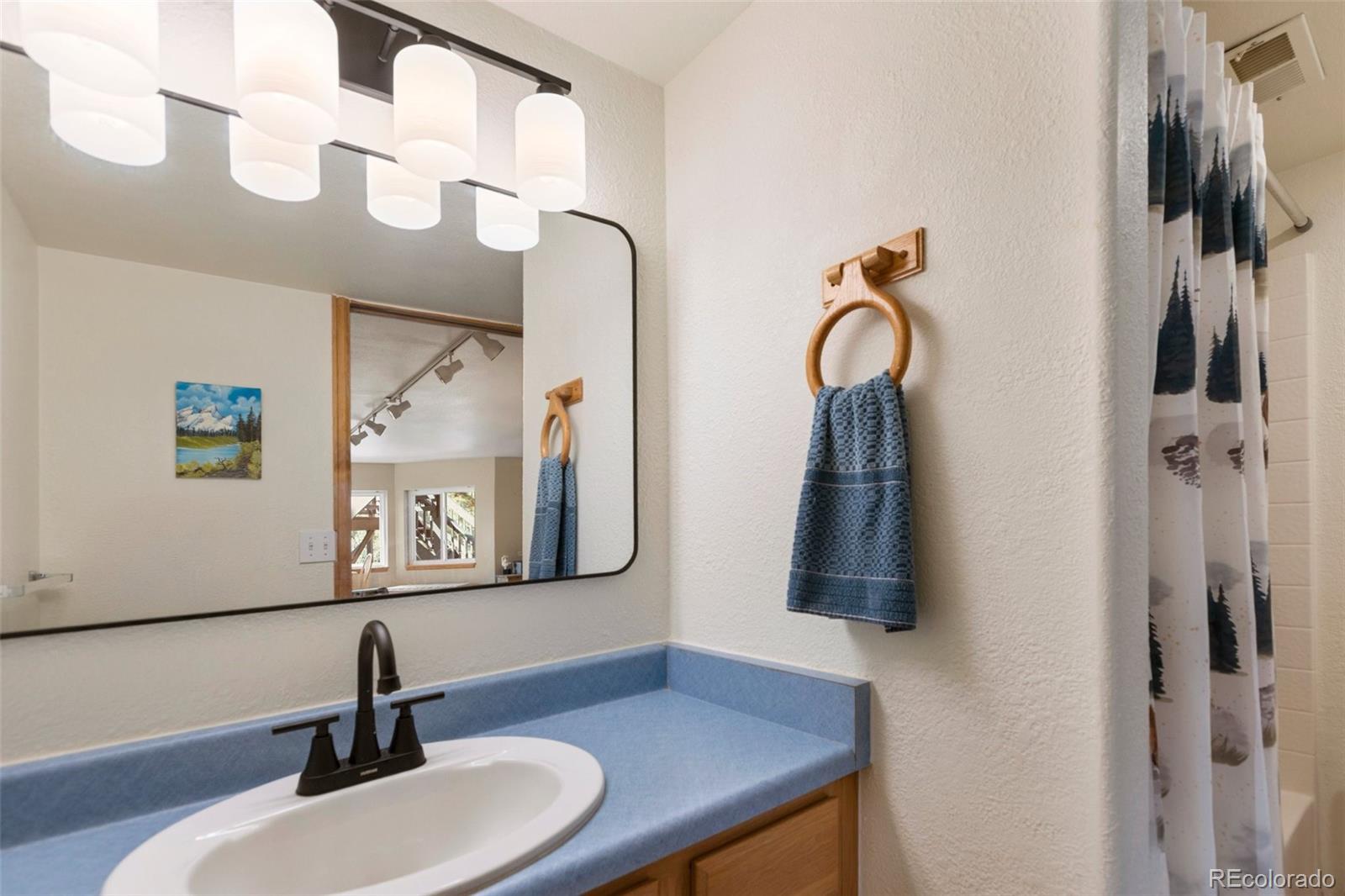 MLS Image #40 for 1240  ponderosa way,woodland park, Colorado