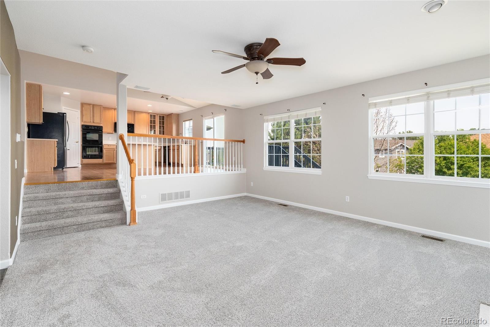 MLS Image #16 for 4341  millwagon trail,castle rock, Colorado