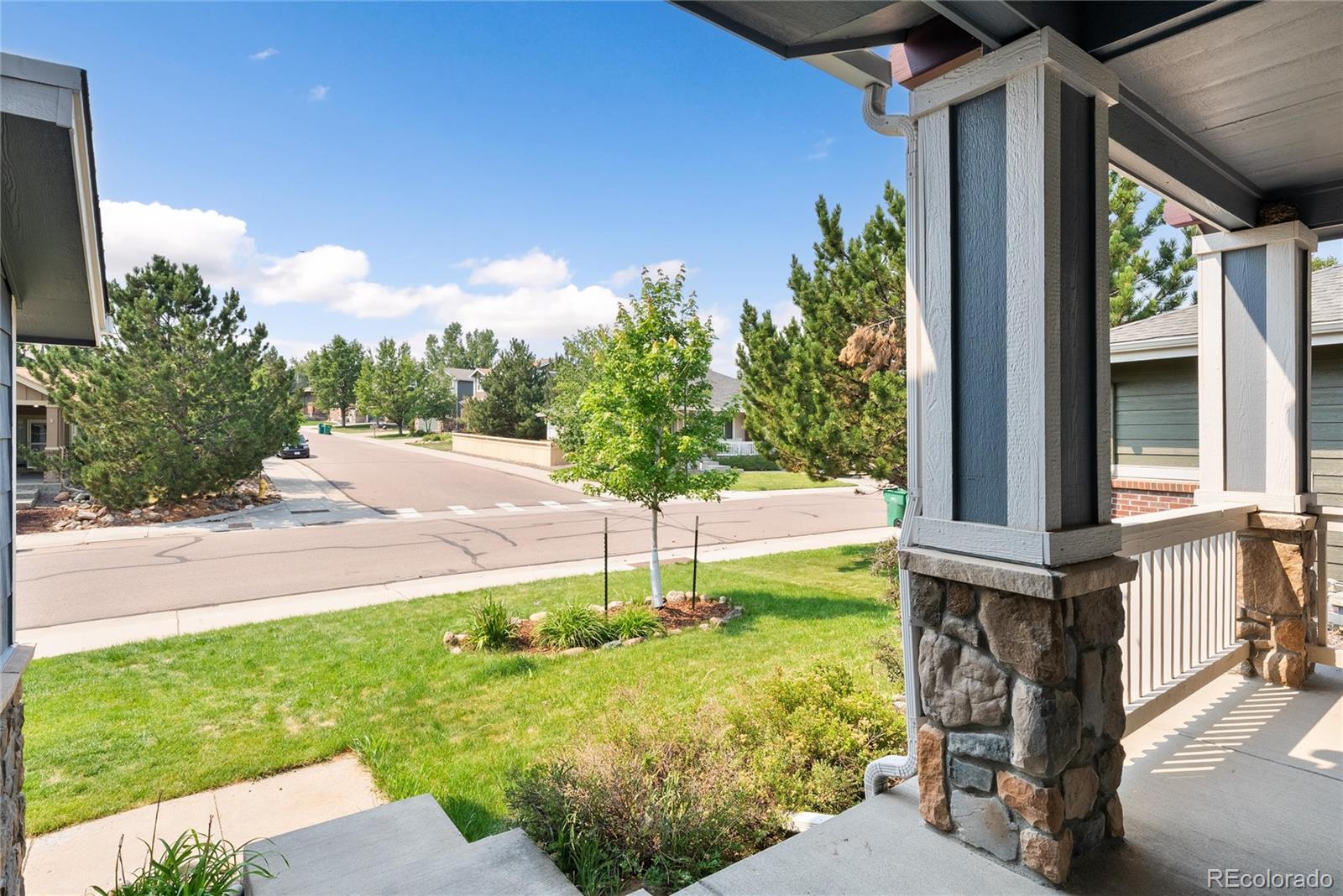 MLS Image #5 for 4341  millwagon trail,castle rock, Colorado