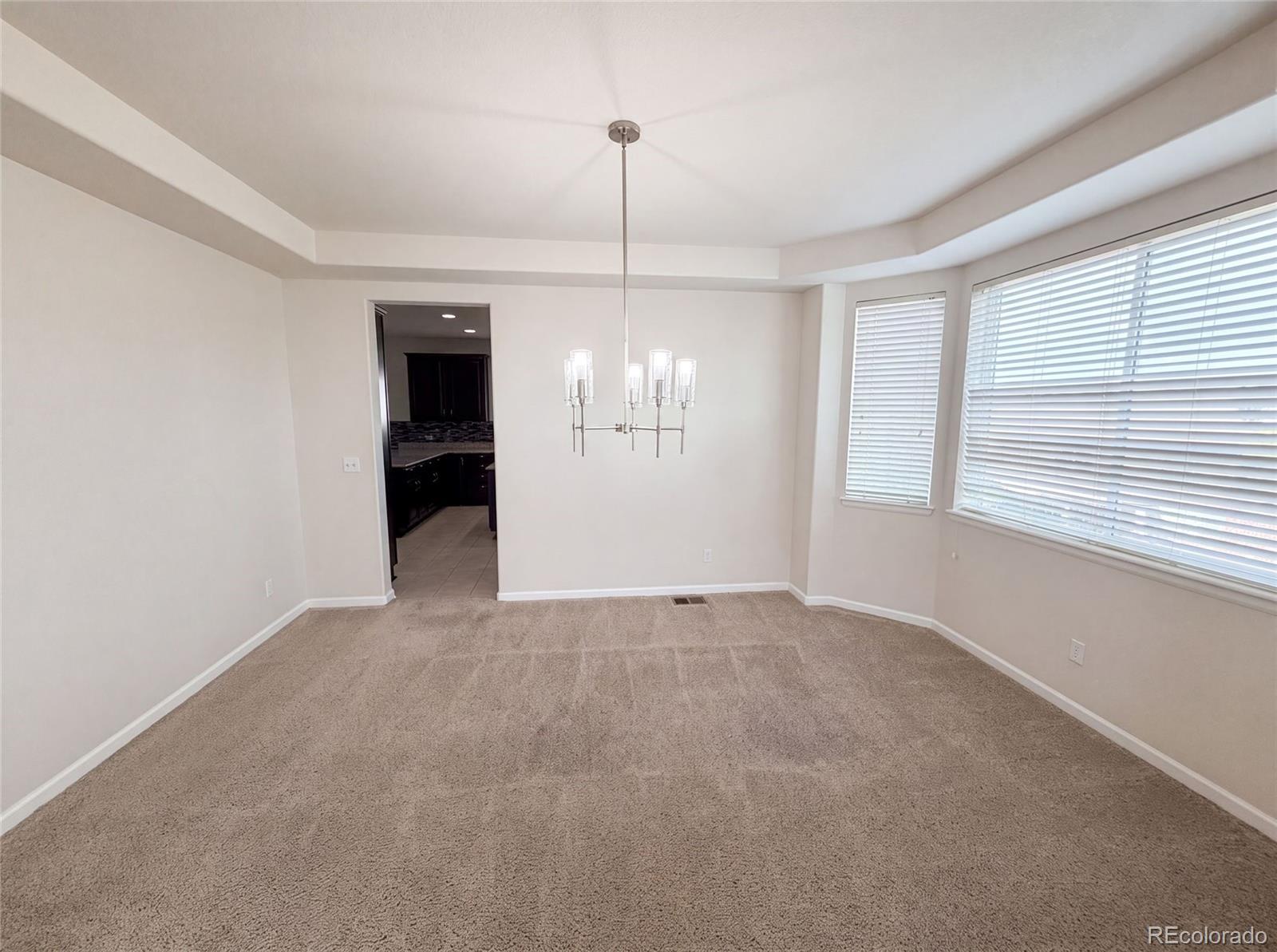 MLS Image #10 for 22197 e easter circle,aurora, Colorado