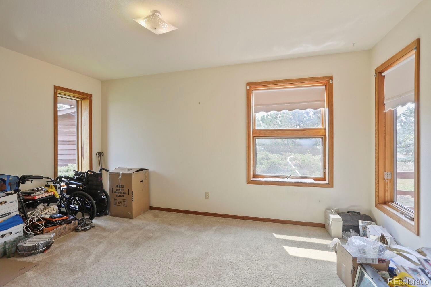MLS Image #19 for 6771  steven street,windsor, Colorado