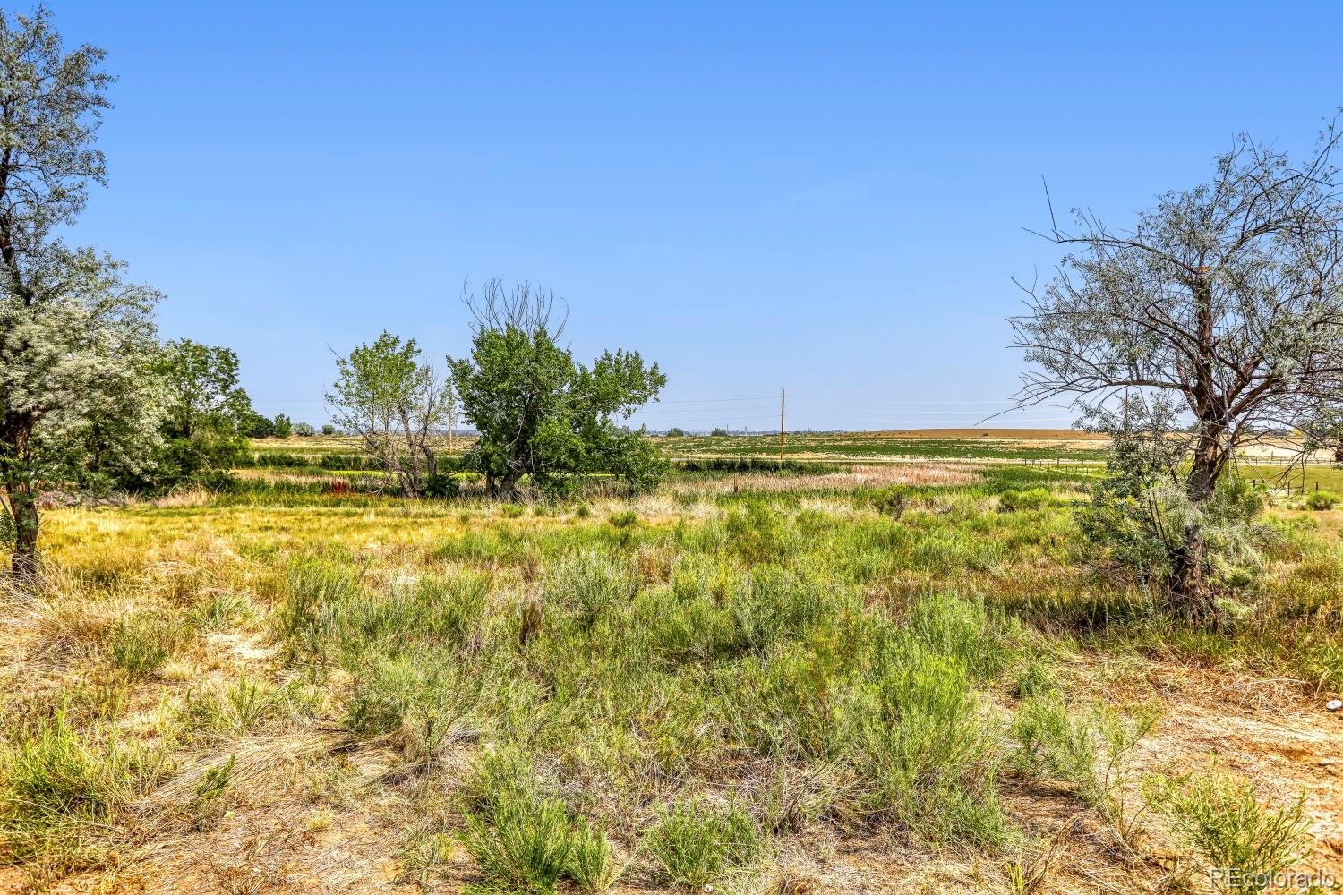 MLS Image #38 for 6771  steven street,windsor, Colorado