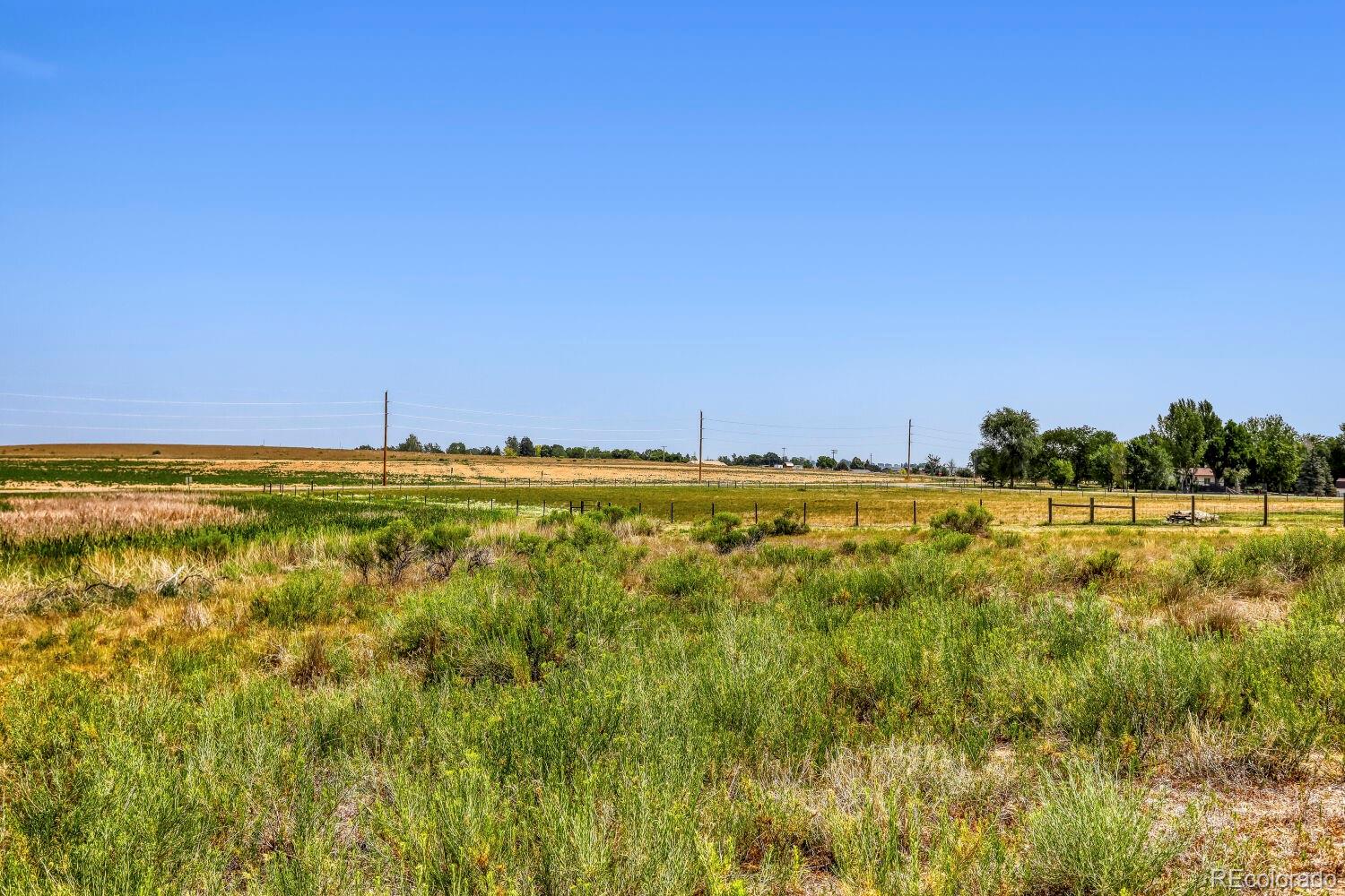 MLS Image #39 for 6771  steven street,windsor, Colorado