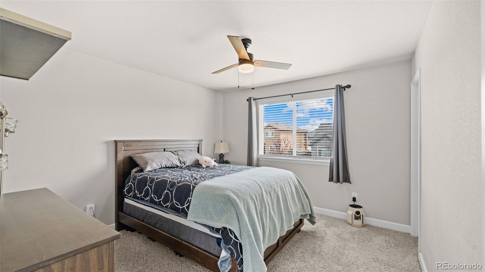 MLS Image #14 for 7643  peachleaf drive,colorado springs, Colorado