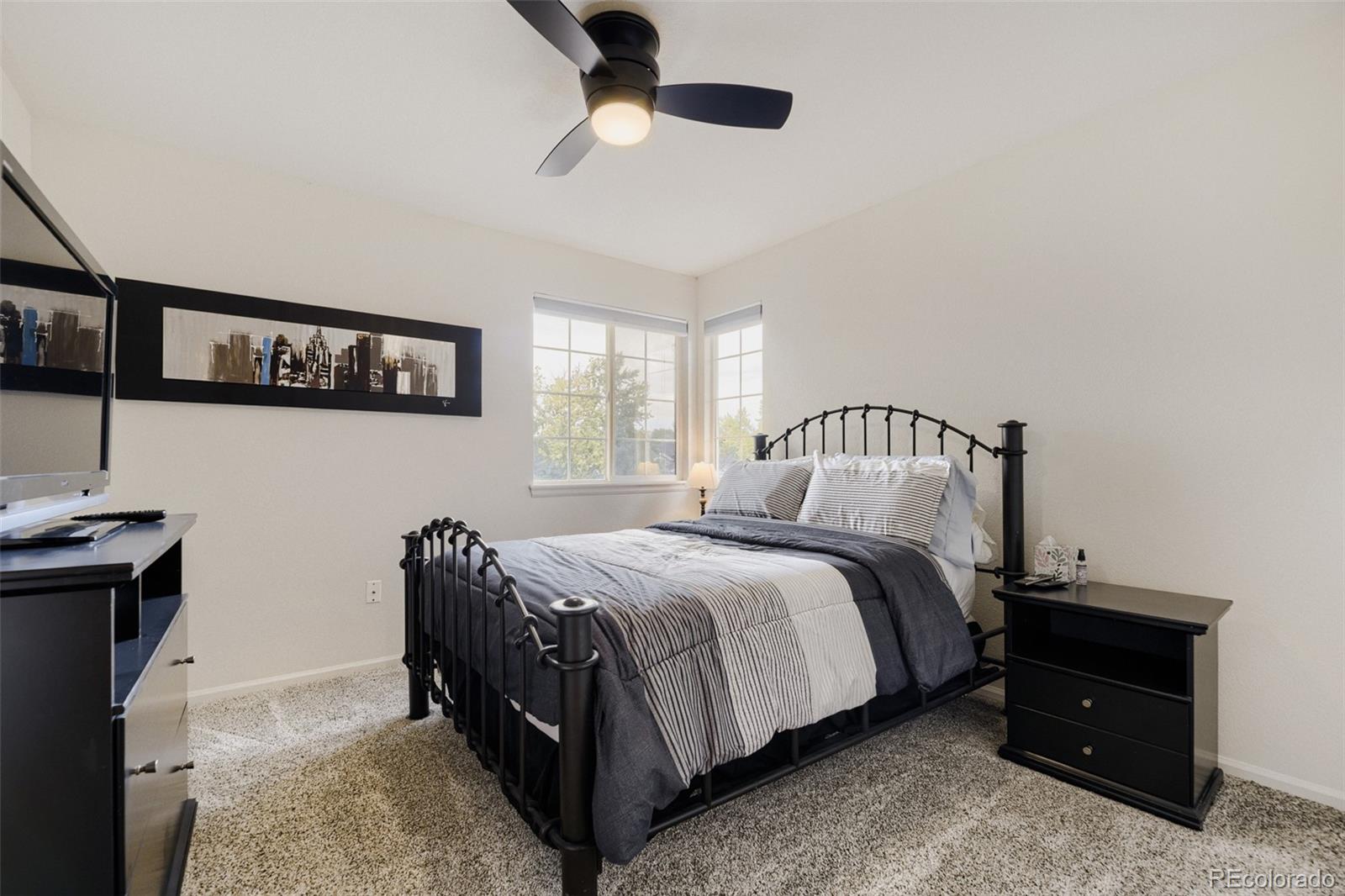 MLS Image #29 for 9518  troon village drive,lone tree, Colorado