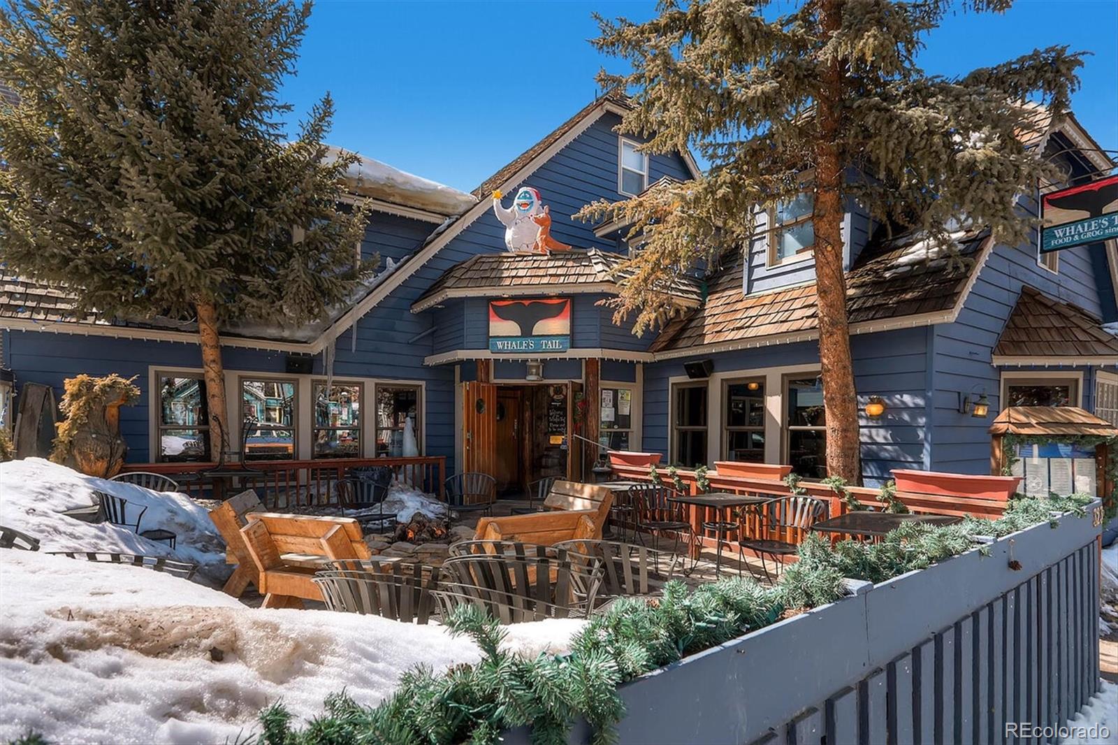 MLS Image #18 for 214 n main street,breckenridge, Colorado