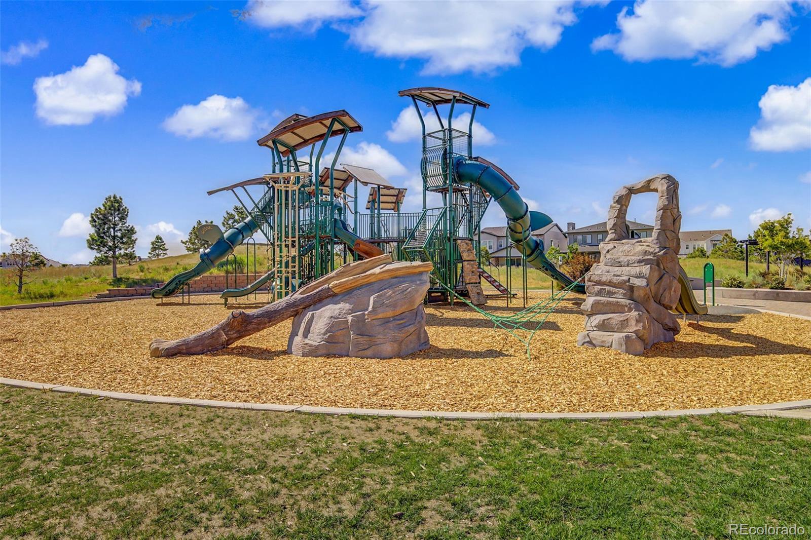 MLS Image #49 for 1679  stable view drive,castle rock, Colorado