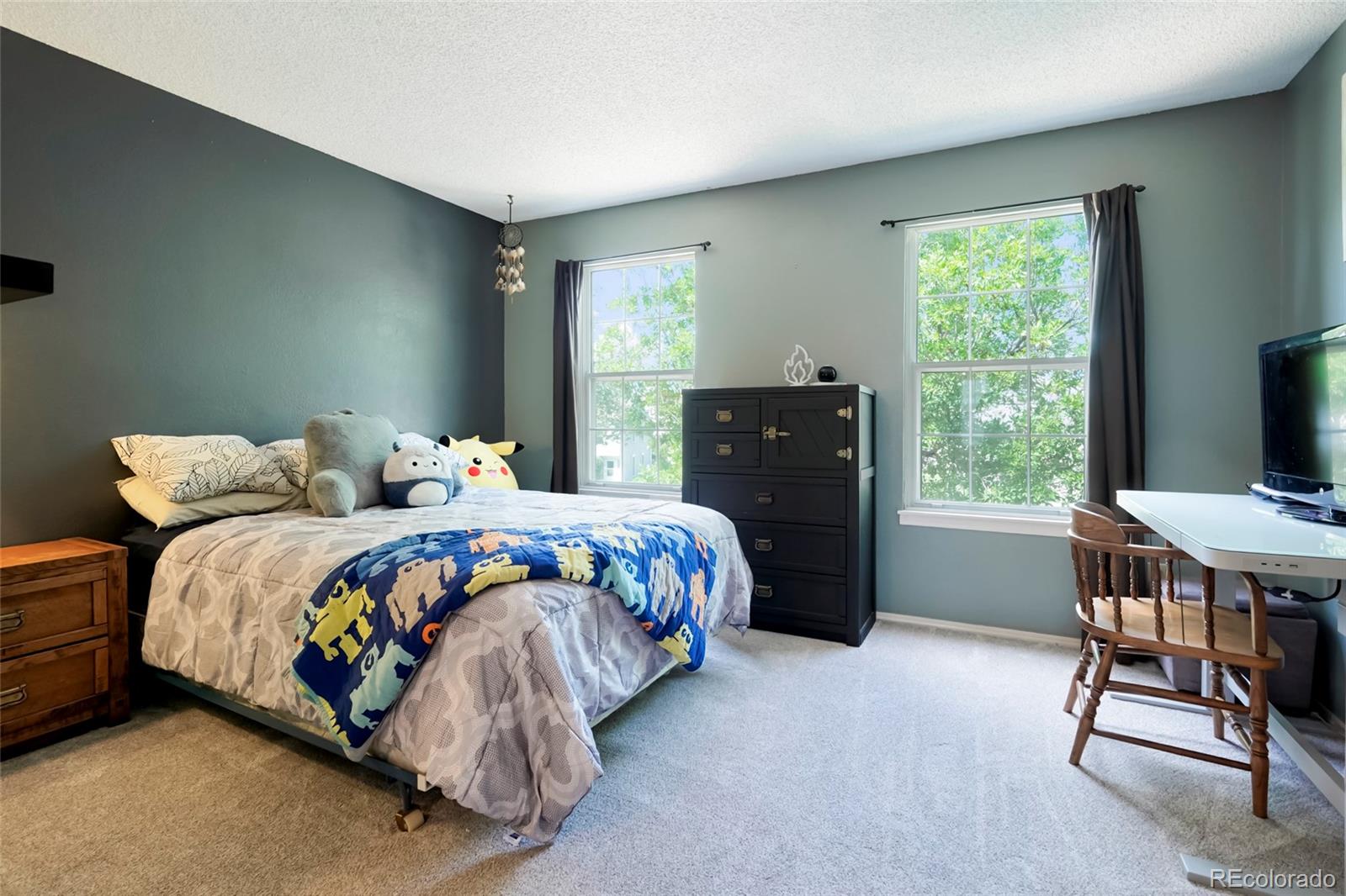 MLS Image #18 for 19856  summerset lane,parker, Colorado