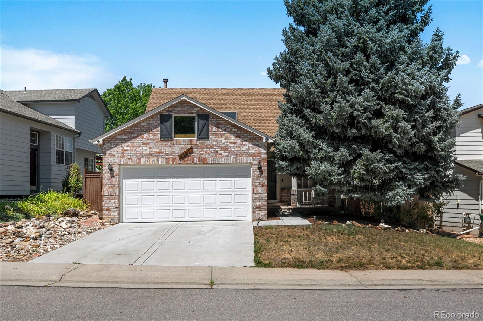 MLS Image #1 for 4807 n bearlily way,castle rock, Colorado