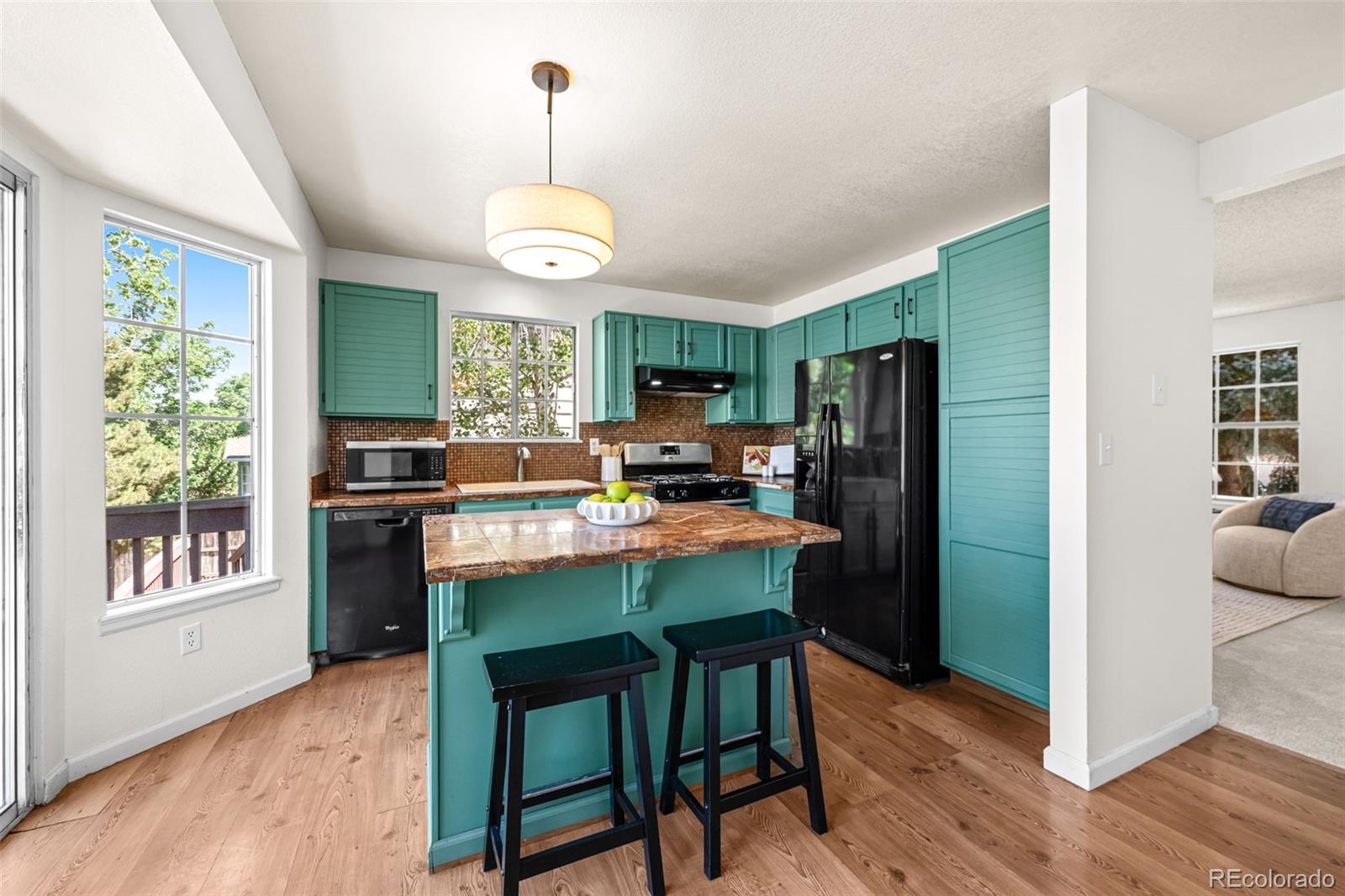 MLS Image #8 for 4807 n bearlily way,castle rock, Colorado
