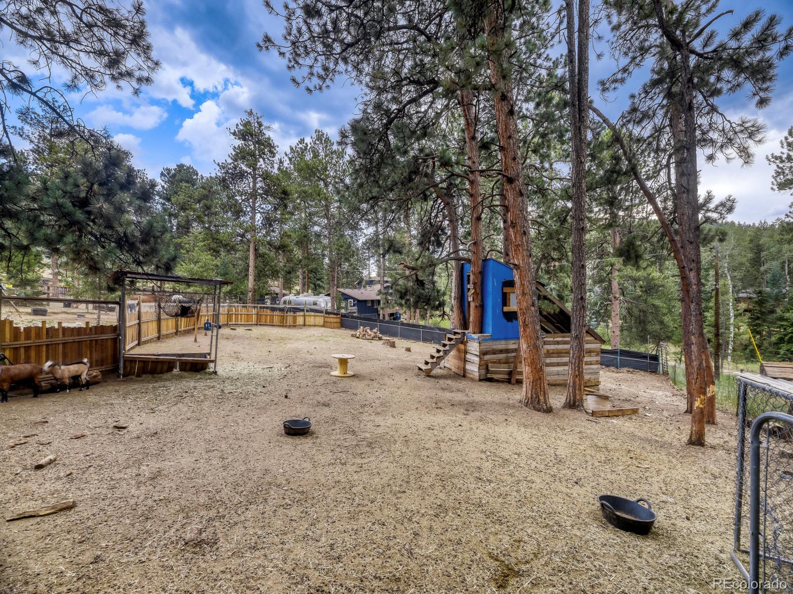 MLS Image #21 for 6569  kiem road,evergreen, Colorado