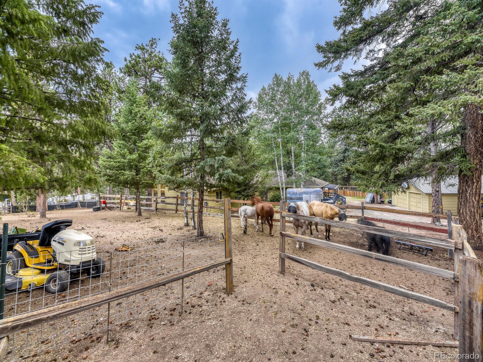 MLS Image #23 for 6569  kiem road,evergreen, Colorado
