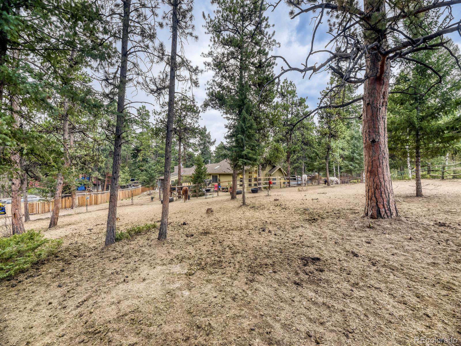 MLS Image #28 for 6569  kiem road,evergreen, Colorado