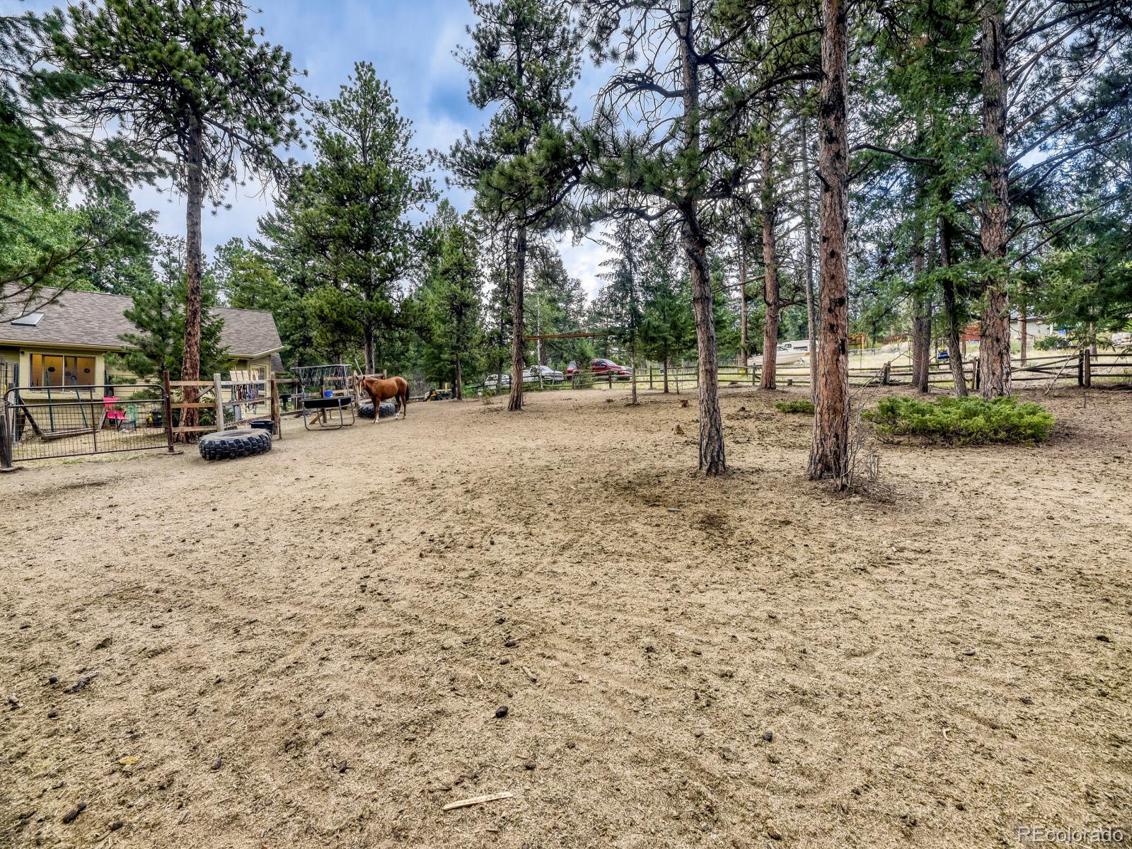 MLS Image #31 for 6569  kiem road,evergreen, Colorado