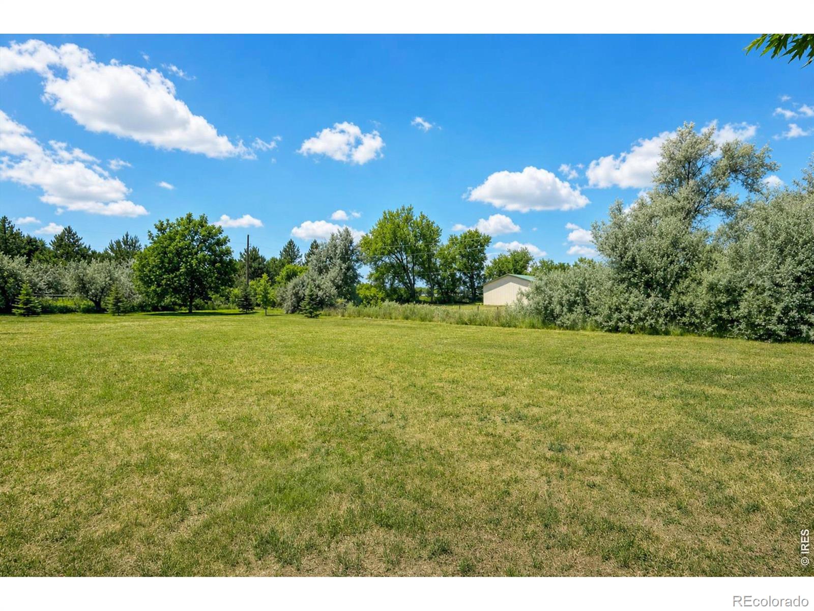 MLS Image #43 for 9748  majestic road,longmont, Colorado