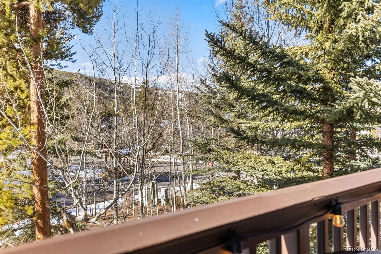 MLS Image #2 for 45  trappers crossing trail,dillon, Colorado