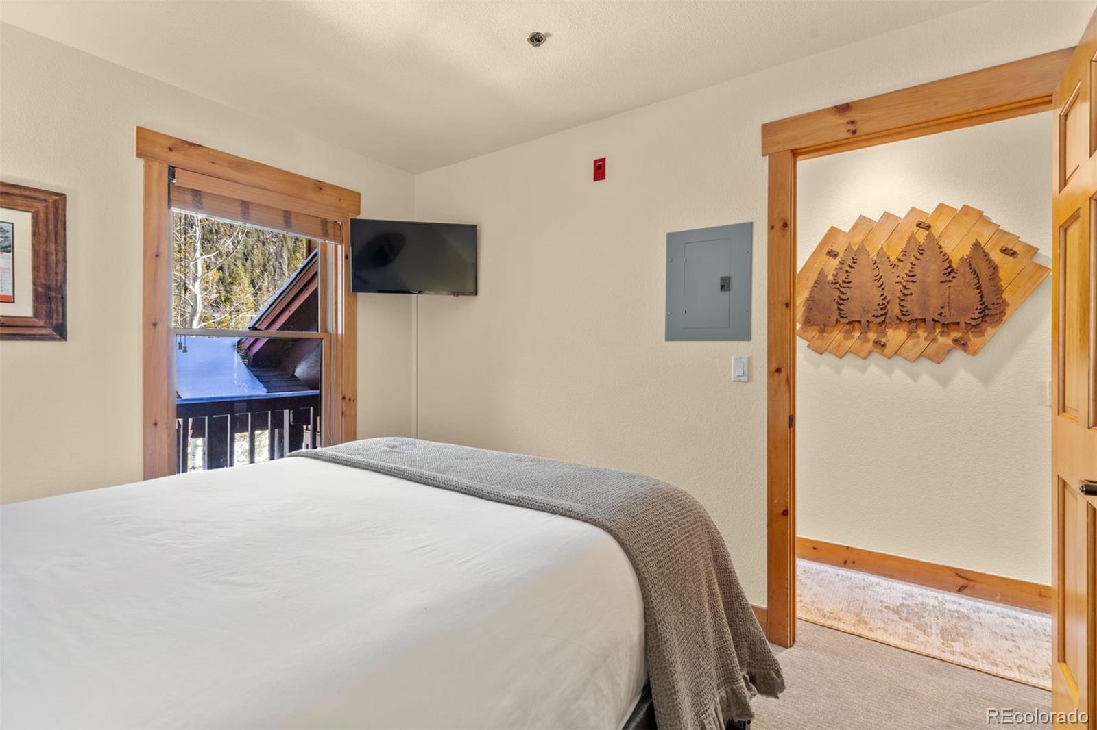 MLS Image #23 for 45  trappers crossing trail,dillon, Colorado