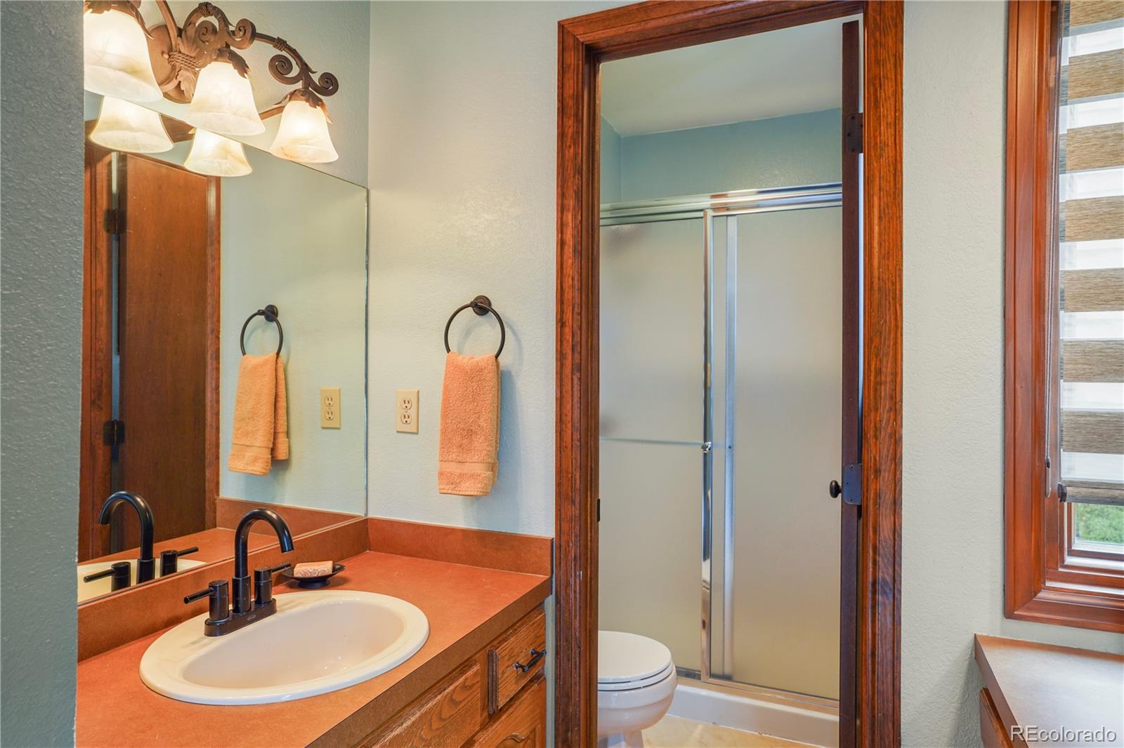 MLS Image #21 for 1977  brookdale drive,colorado springs, Colorado