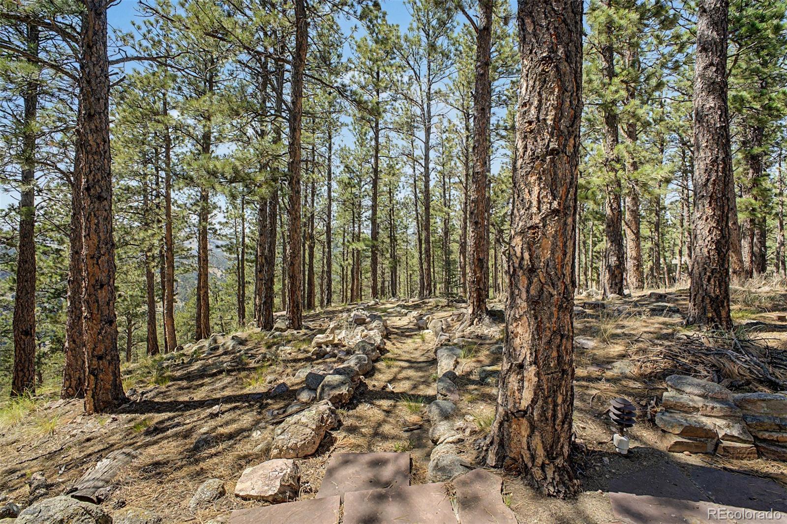 MLS Image #26 for 419  wild horse circle,boulder, Colorado