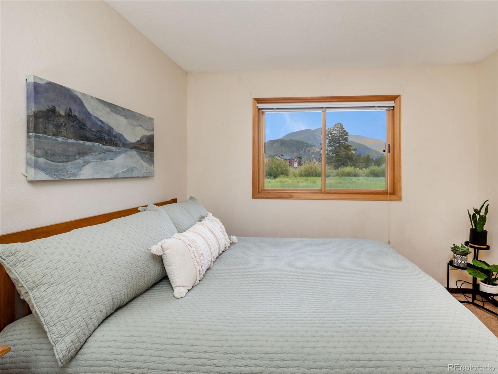 MLS Image #18 for 23004  us highway 6 ,dillon, Colorado