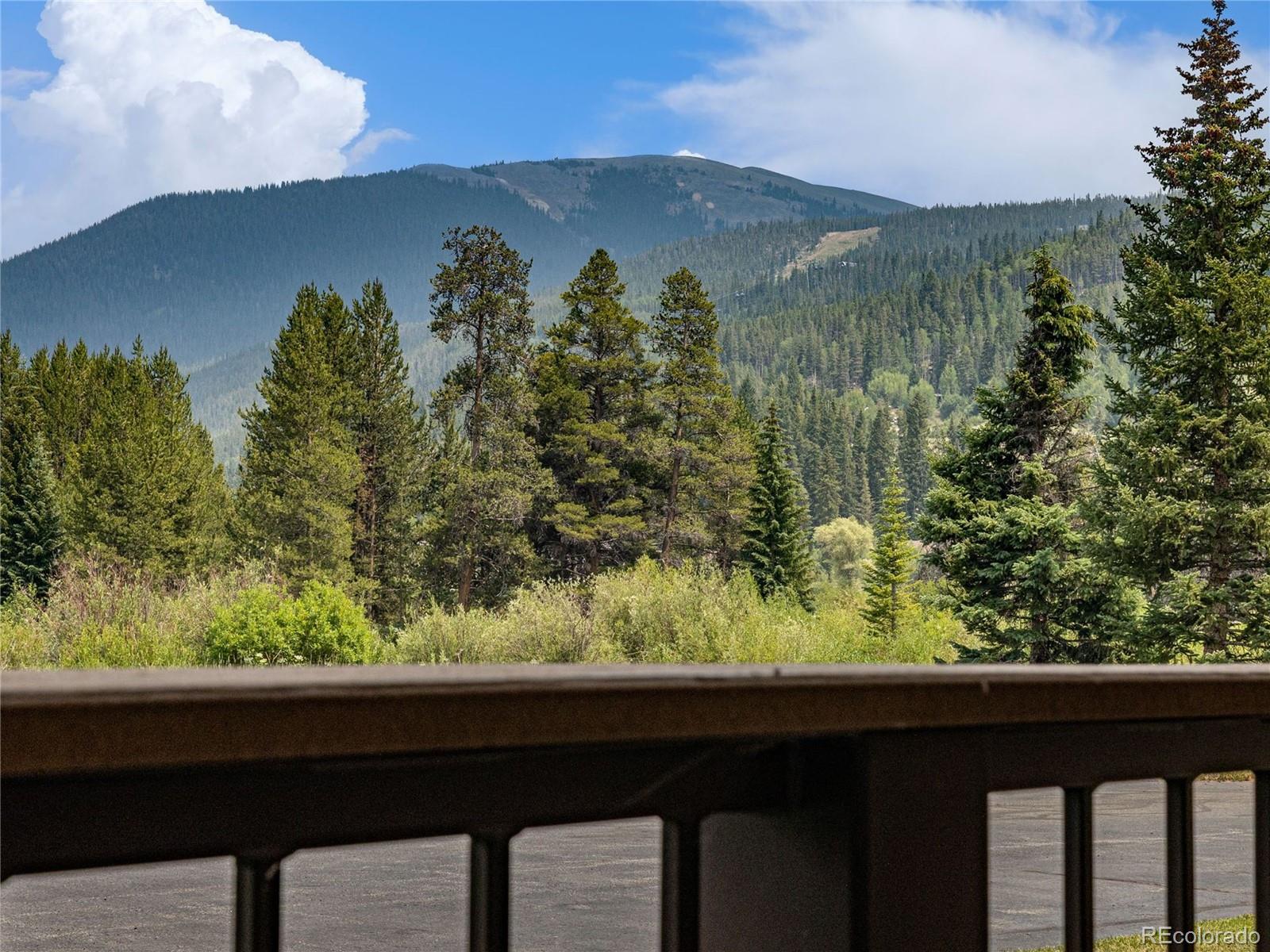 MLS Image #22 for 23004  us highway 6 ,dillon, Colorado