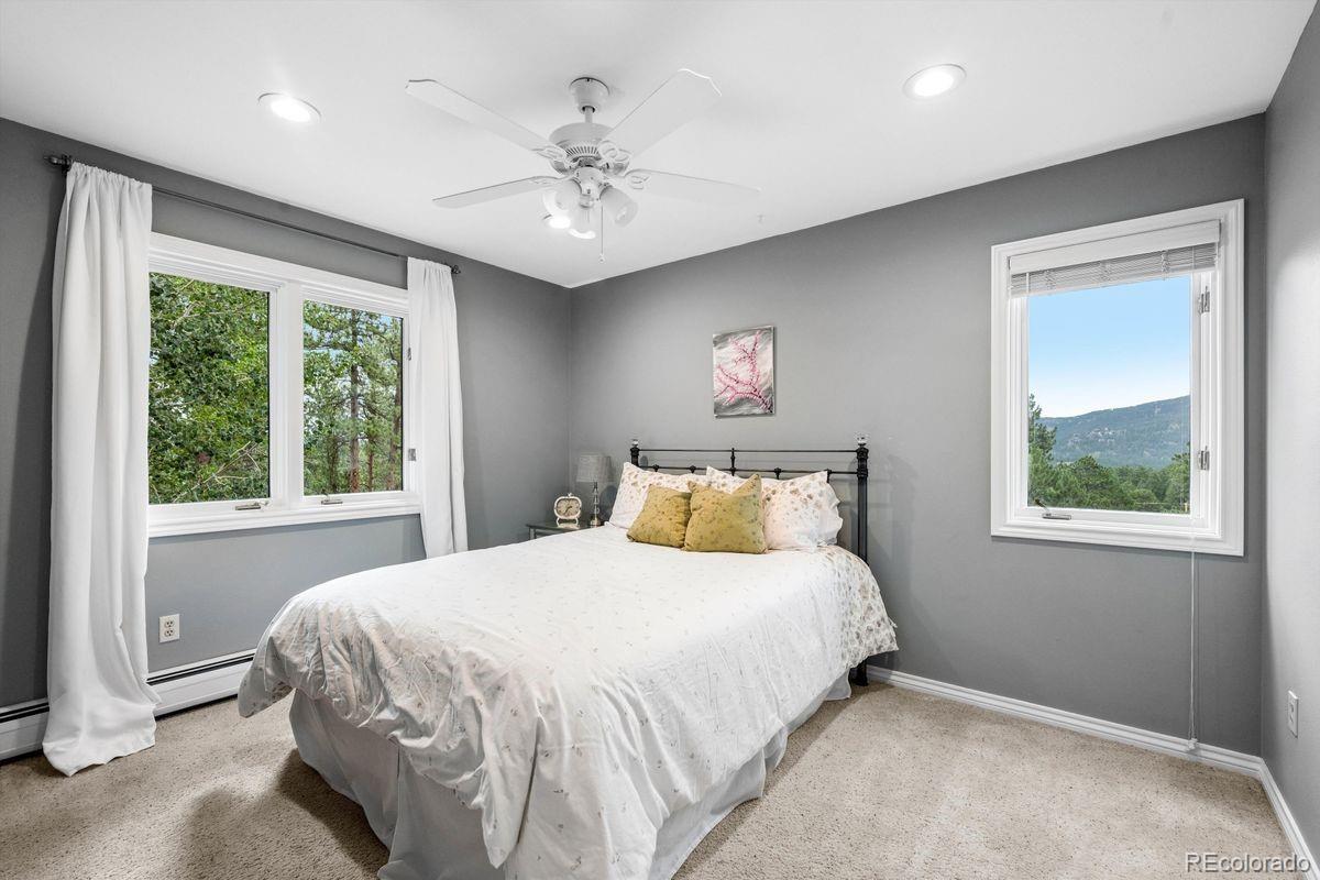 MLS Image #18 for 29721  dorothy road,evergreen, Colorado