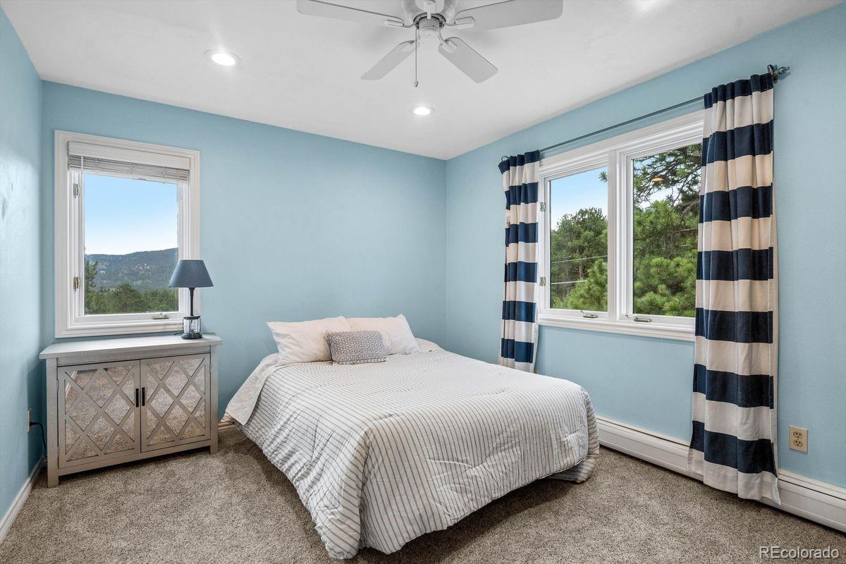 MLS Image #20 for 29721  dorothy road,evergreen, Colorado