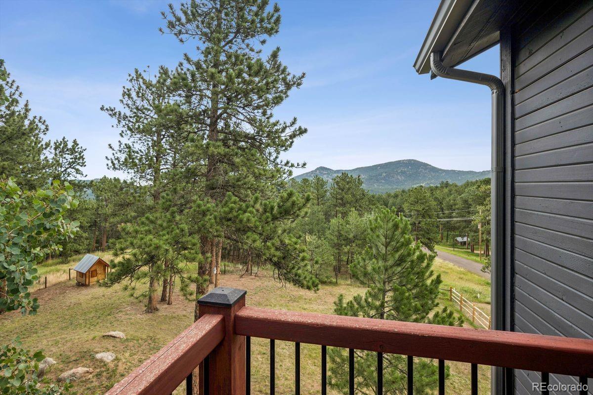 MLS Image #27 for 29721  dorothy road,evergreen, Colorado