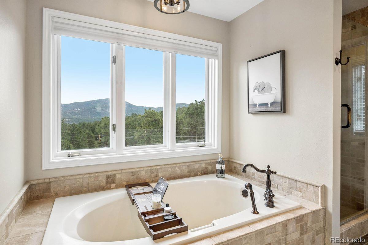 MLS Image #29 for 29721  dorothy road,evergreen, Colorado