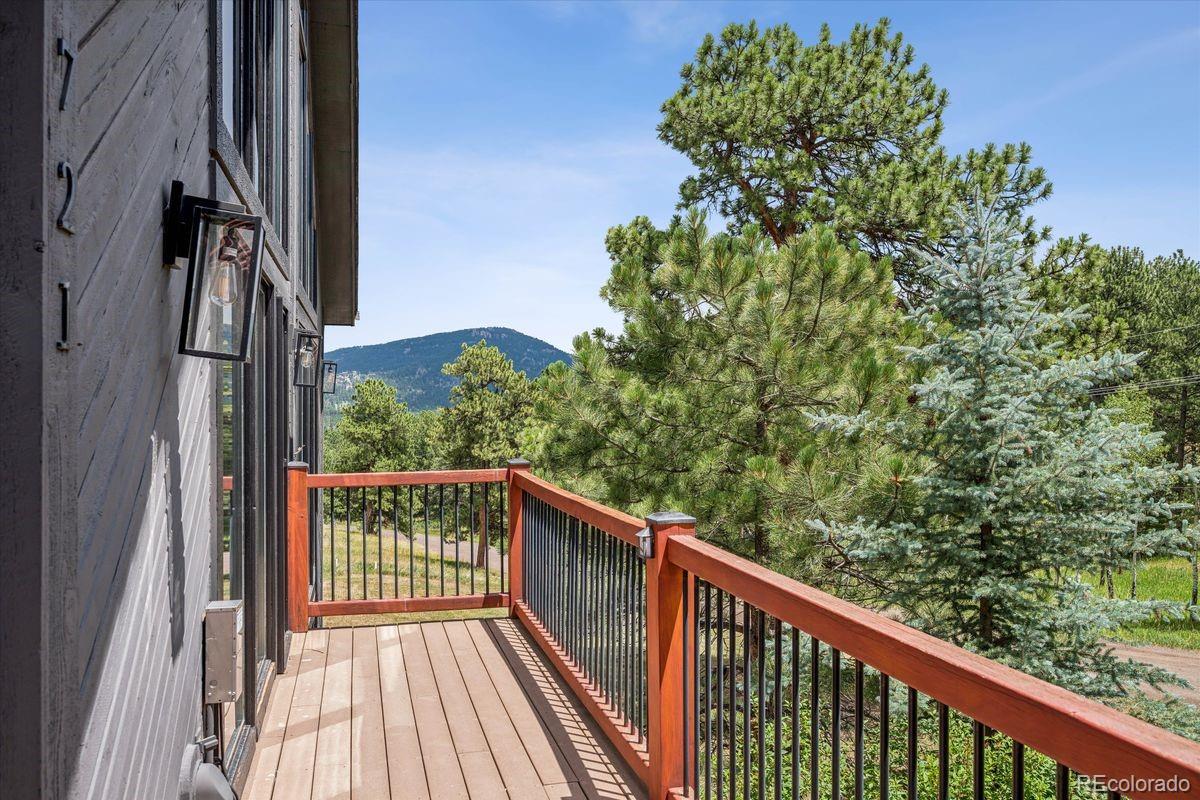 MLS Image #49 for 29721  dorothy road,evergreen, Colorado