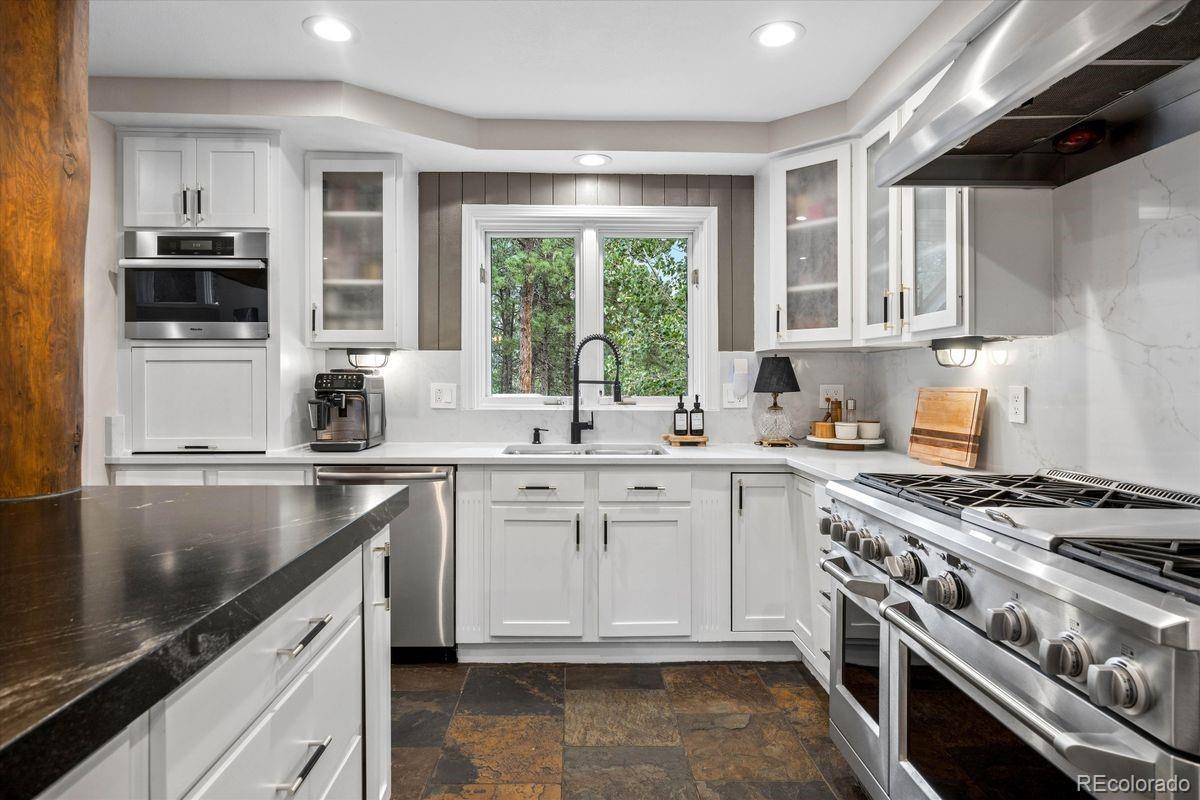 MLS Image #6 for 29721  dorothy road,evergreen, Colorado