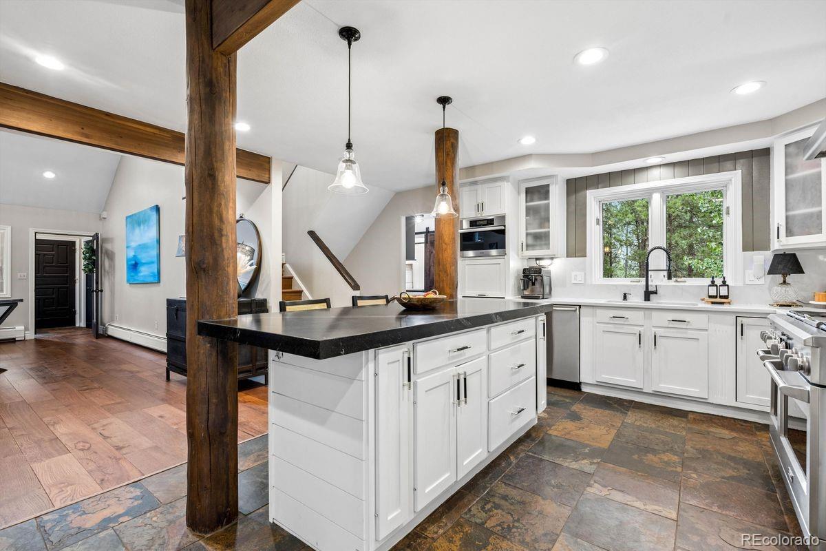 MLS Image #9 for 29721  dorothy road,evergreen, Colorado