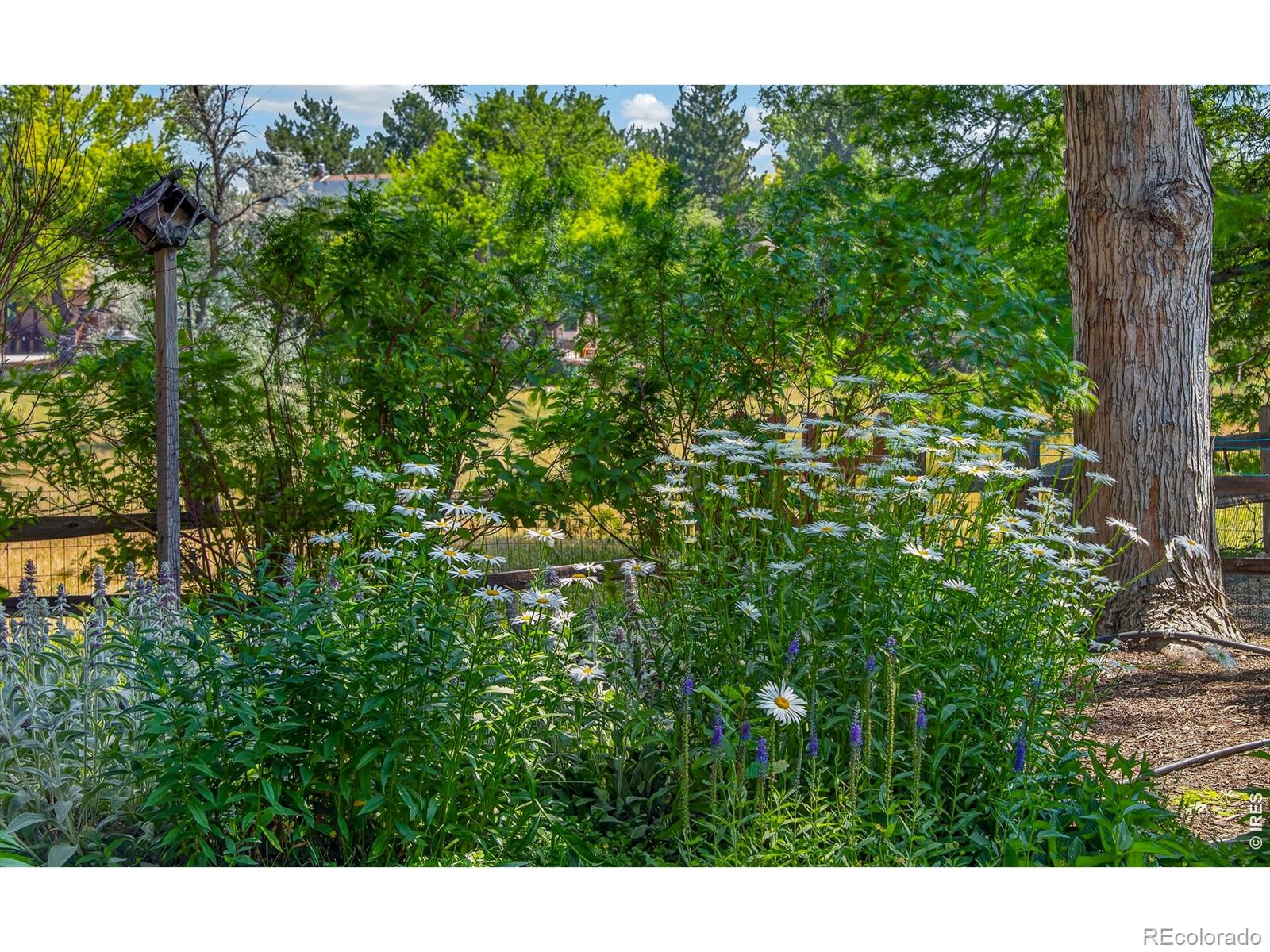 MLS Image #22 for 6071  chelsea manor court,boulder, Colorado