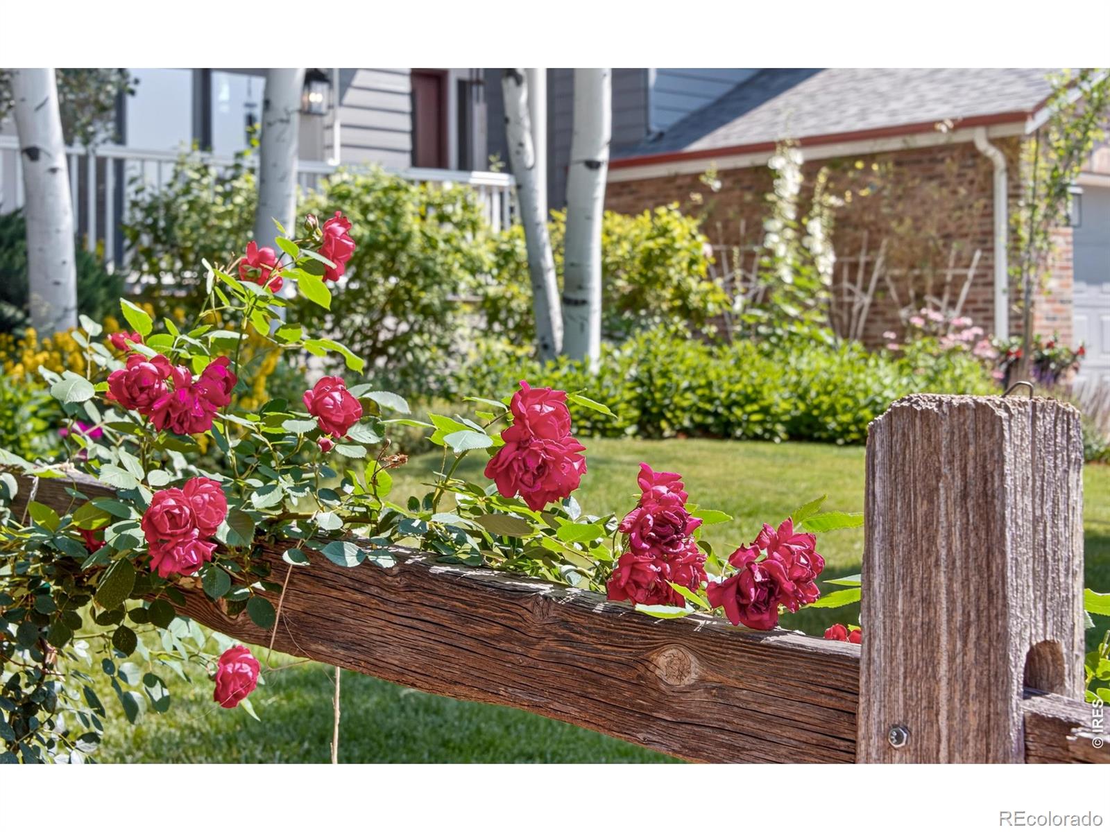 MLS Image #7 for 6071  chelsea manor court,boulder, Colorado