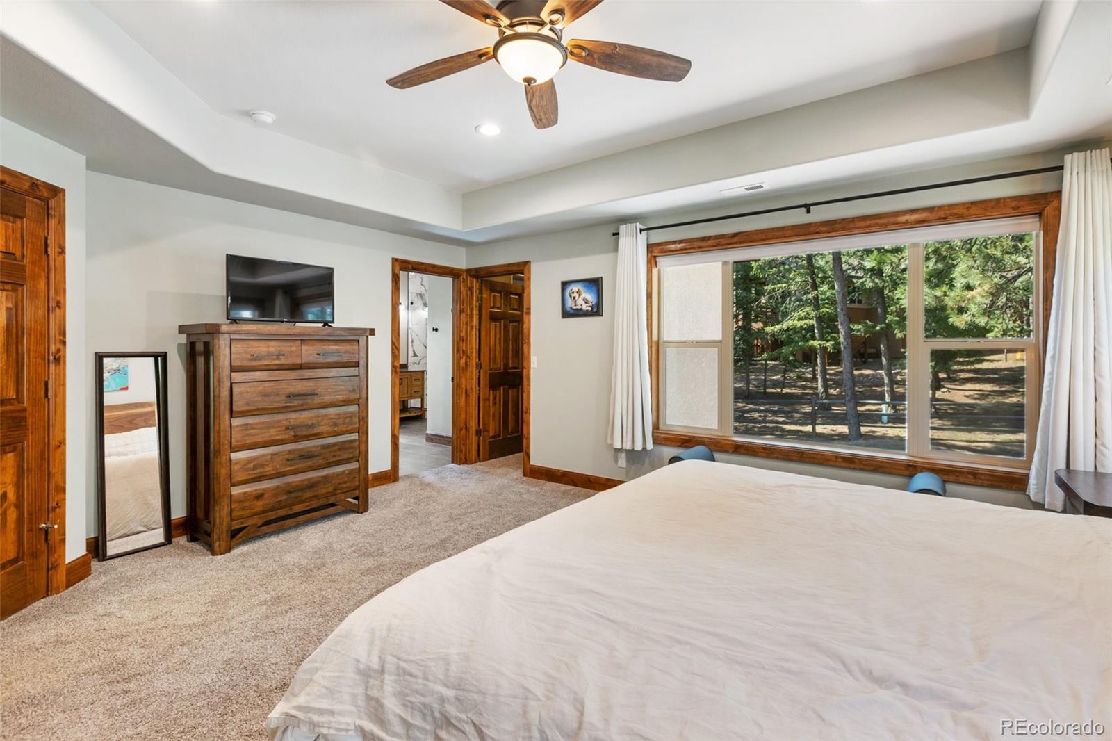 MLS Image #24 for 1195  karen lane,woodland park, Colorado