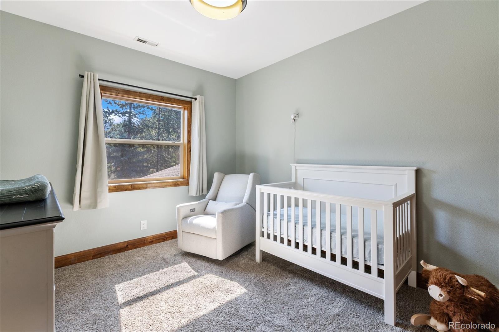 MLS Image #25 for 1195  karen lane,woodland park, Colorado