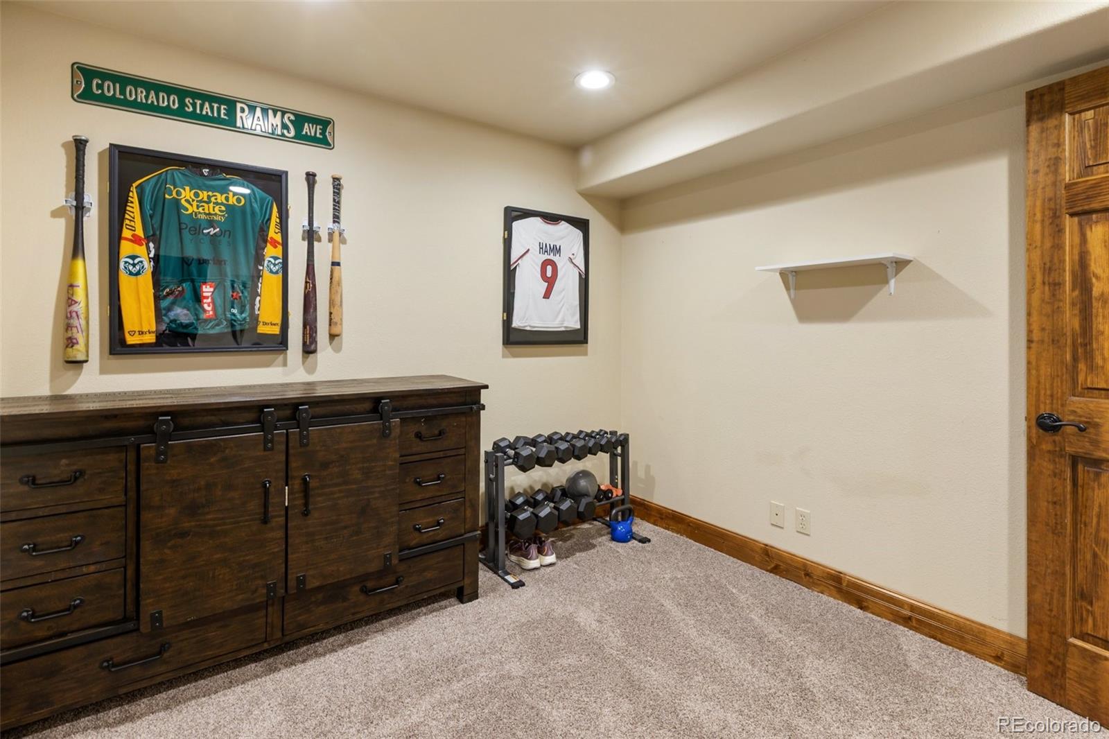 MLS Image #33 for 1195  karen lane,woodland park, Colorado